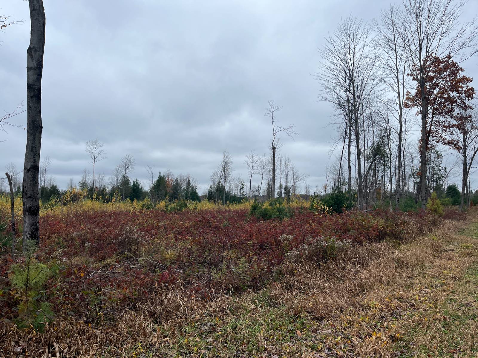 #30 photo, 00 County Route 47, Winthrop , NY 13676