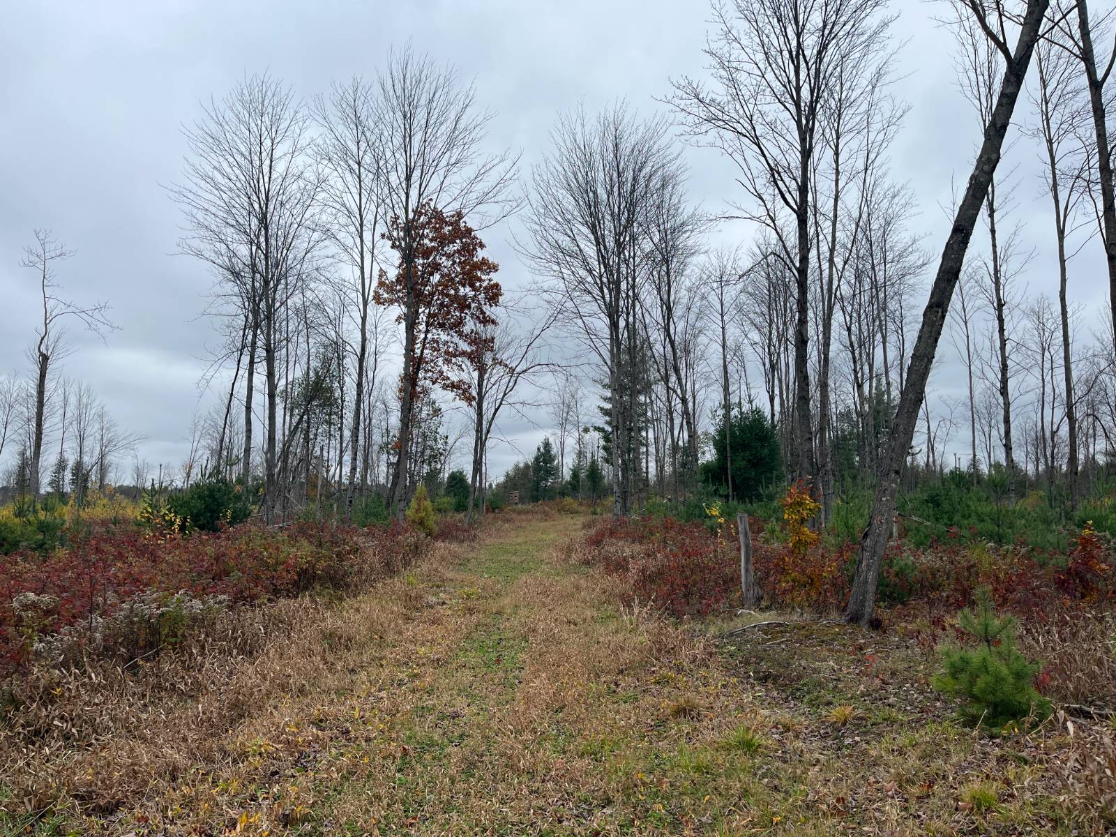 #31 photo, 00 County Route 47, Winthrop , NY 13676