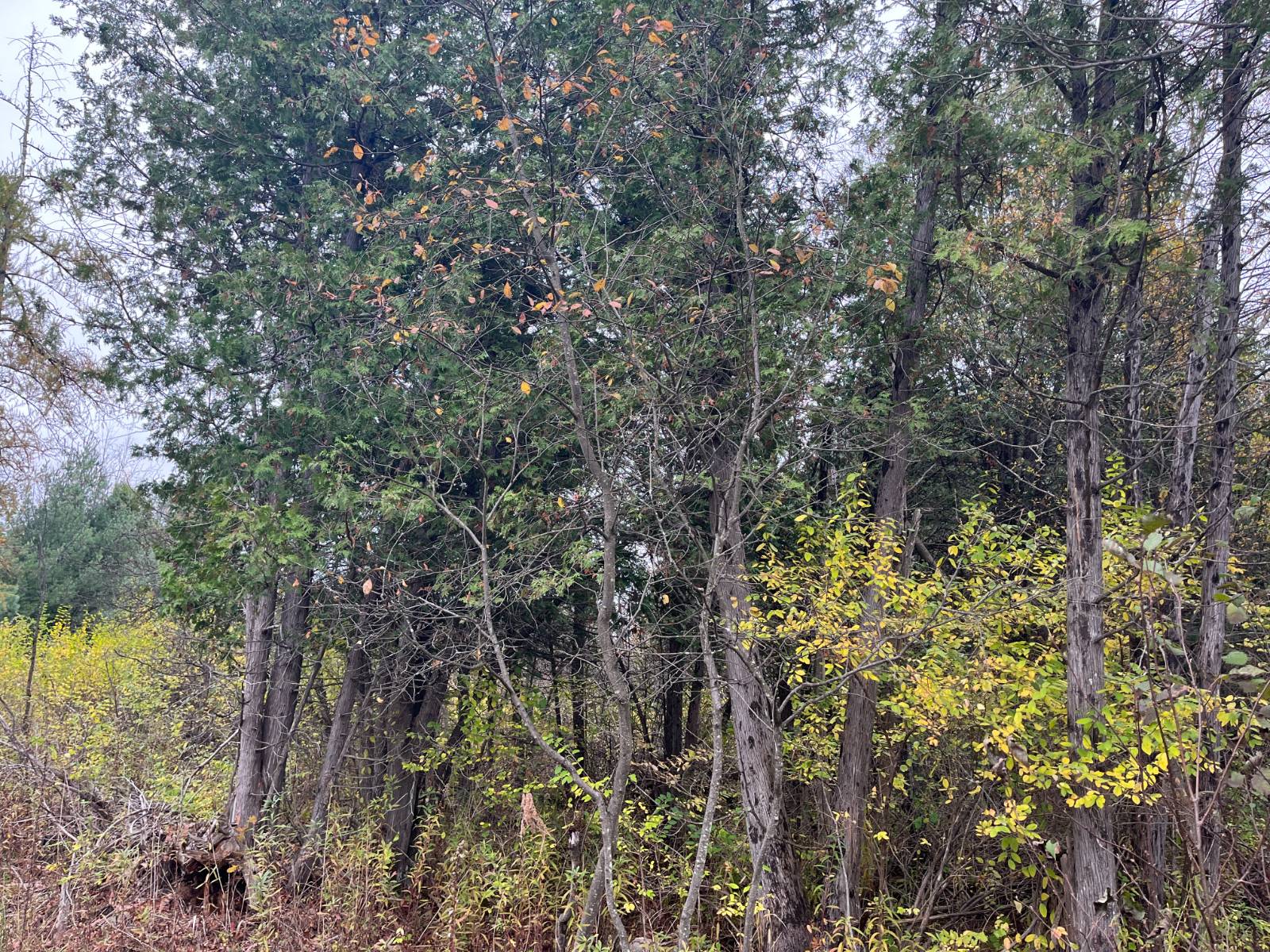 #33 photo, 00 County Route 47, Winthrop , NY 13676