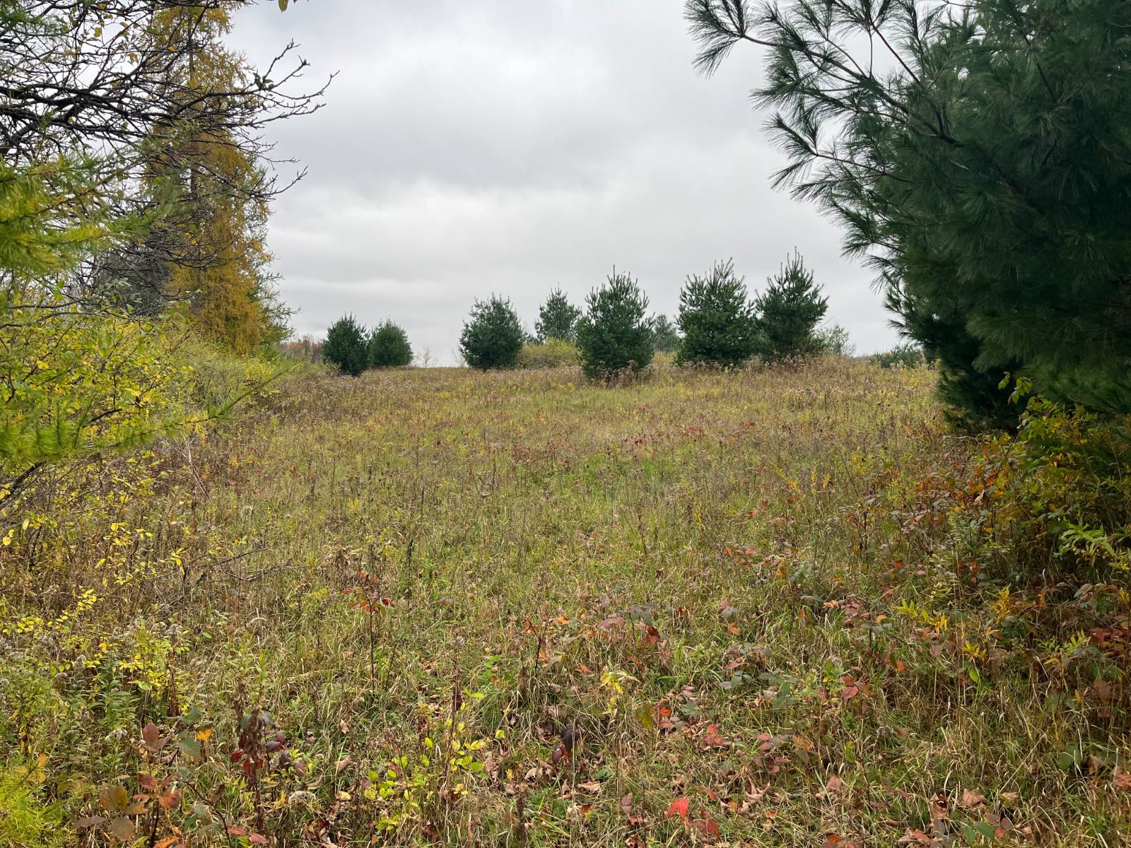 #34 photo, 00 County Route 47, Winthrop , NY 13676