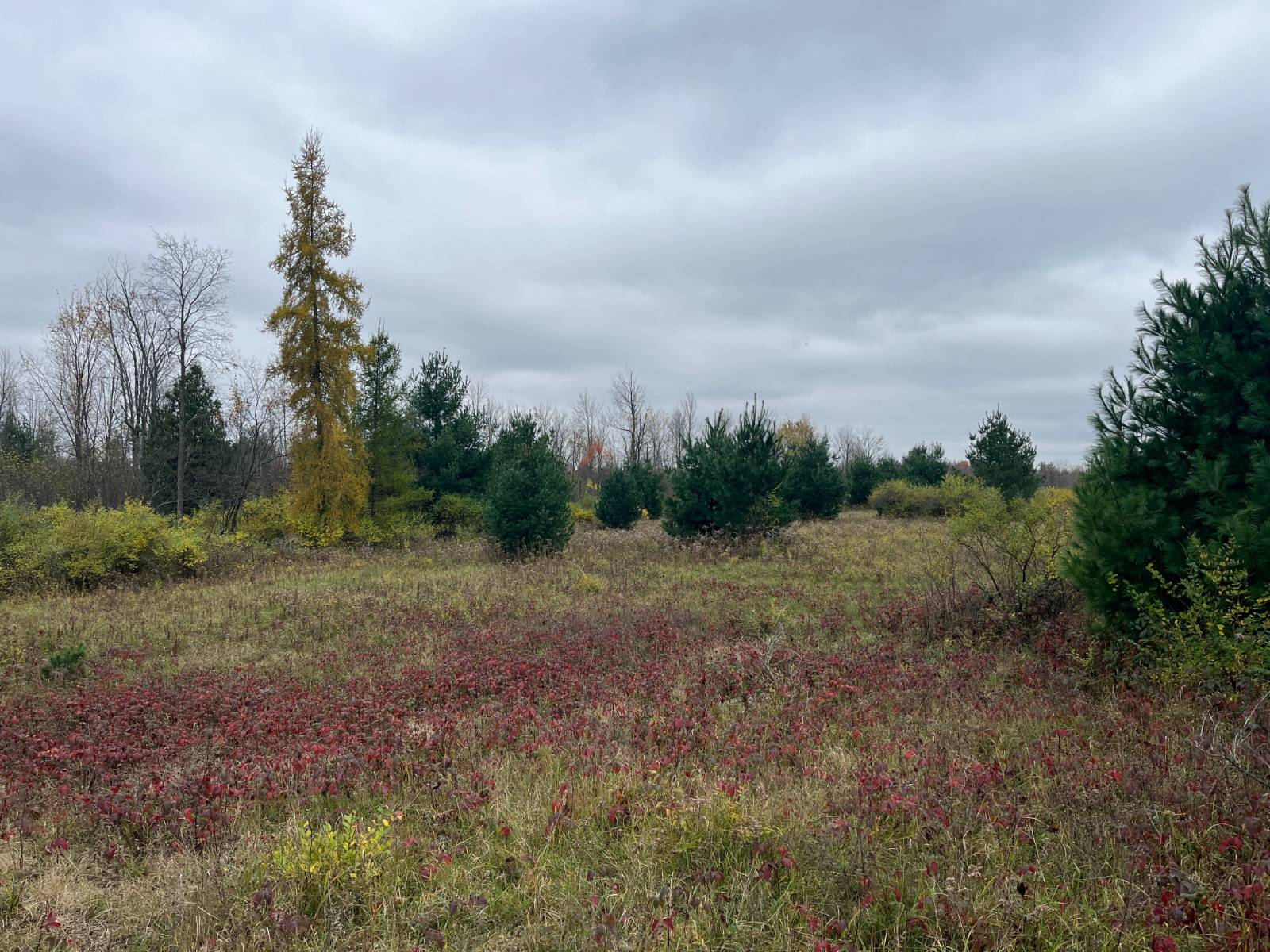 #35 photo, 00 County Route 47, Winthrop , NY 13676