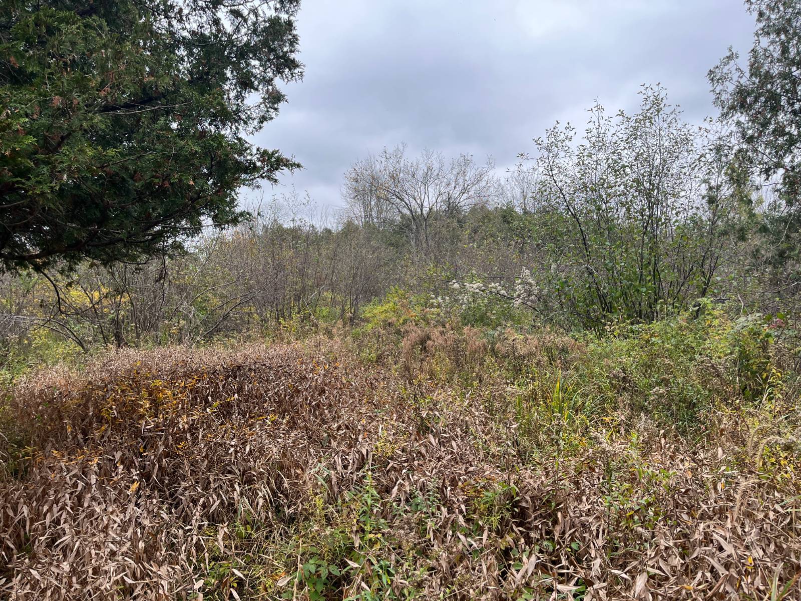 #39 photo, 00 County Route 47, Winthrop , NY 13676