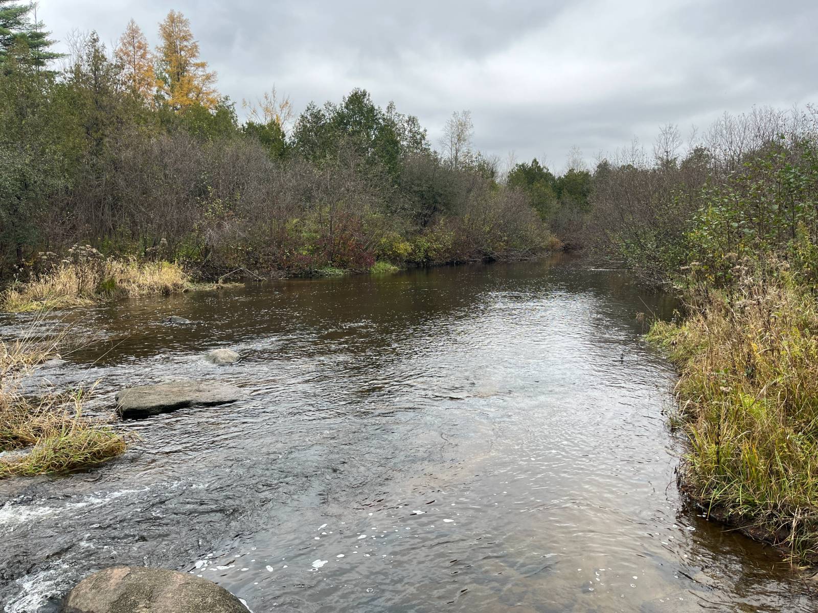 #42 photo, 00 County Route 47, Winthrop , NY 13676