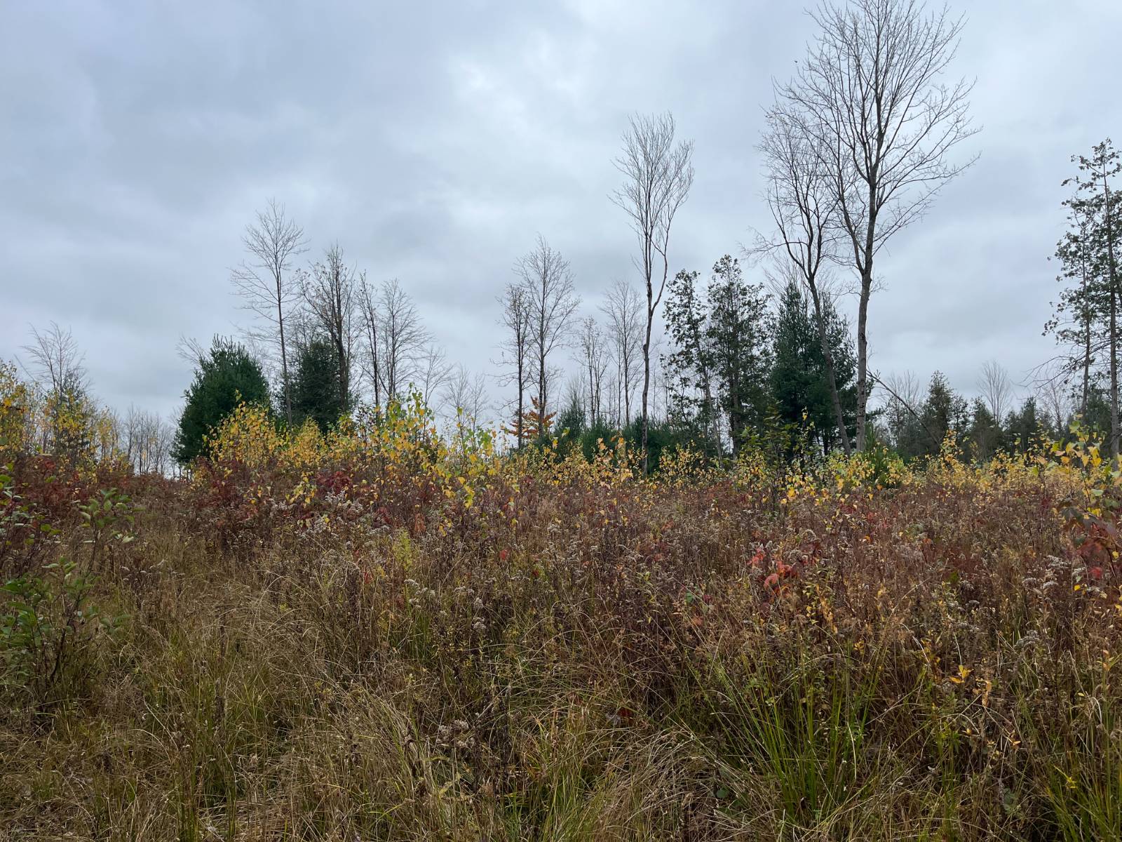 #43 photo, 00 County Route 47, Winthrop , NY 13676