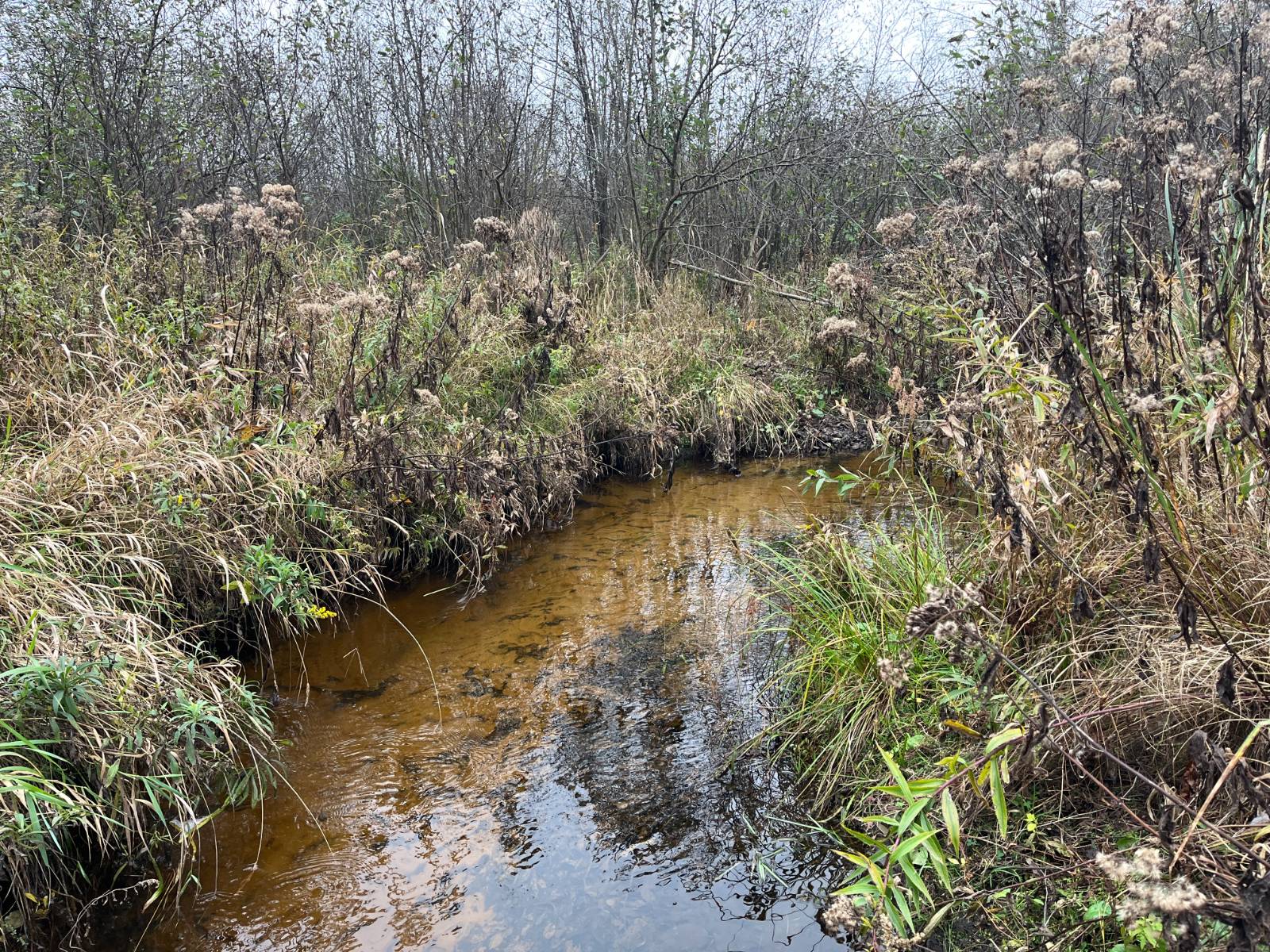 #44 photo, 00 County Route 47, Winthrop , NY 13676