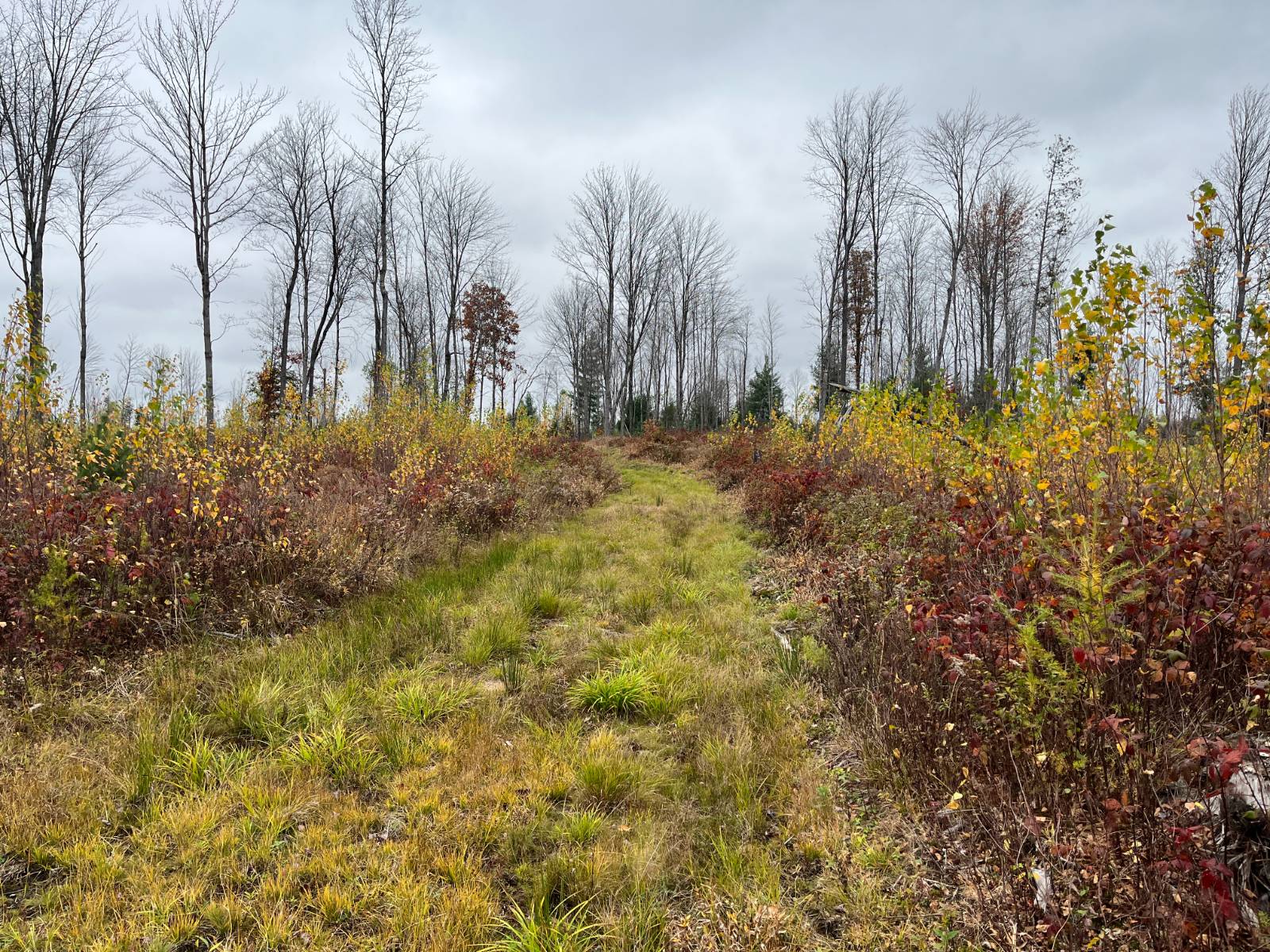 #47 photo, 00 County Route 47, Winthrop , NY 13676