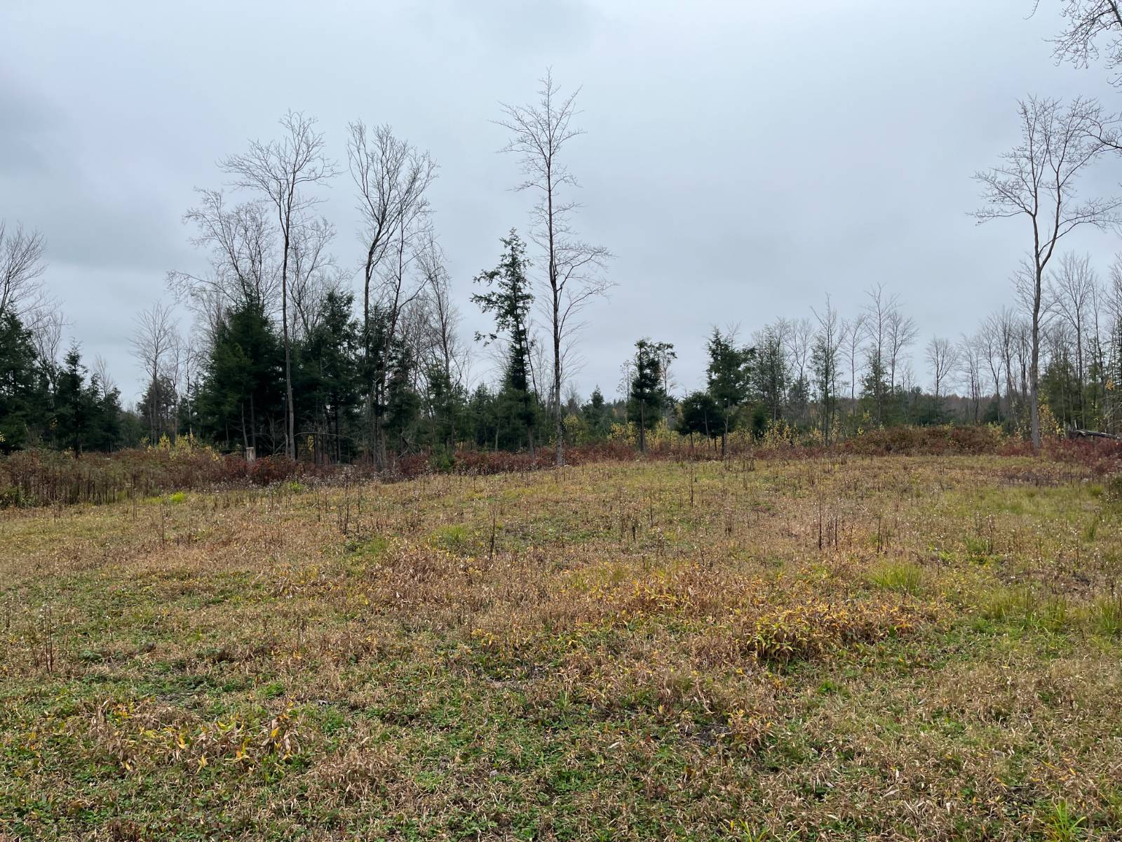 #48 photo, 00 County Route 47, Winthrop , NY 13676