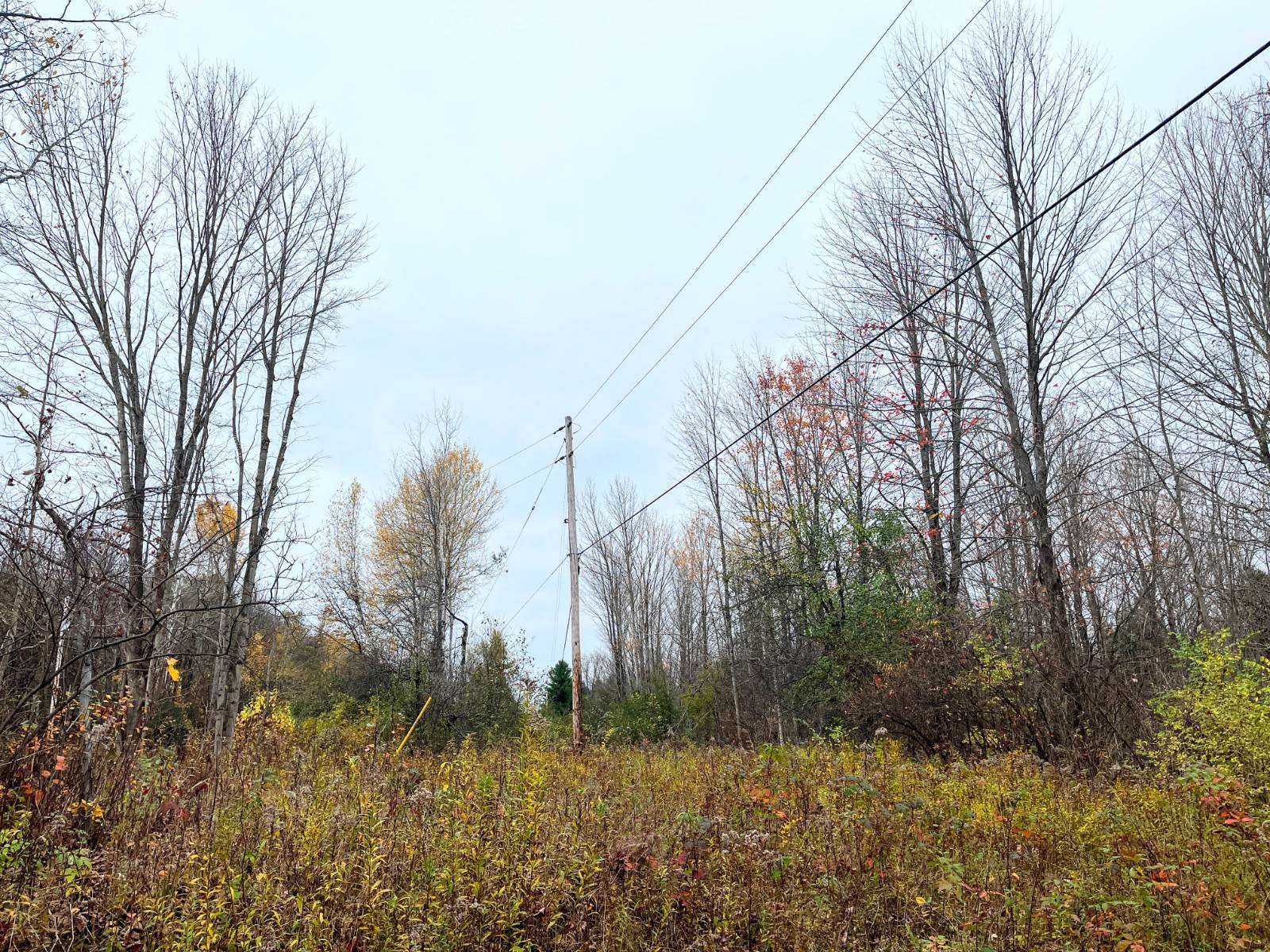 #9 photo, 00 County Route 47, Winthrop , NY 13676