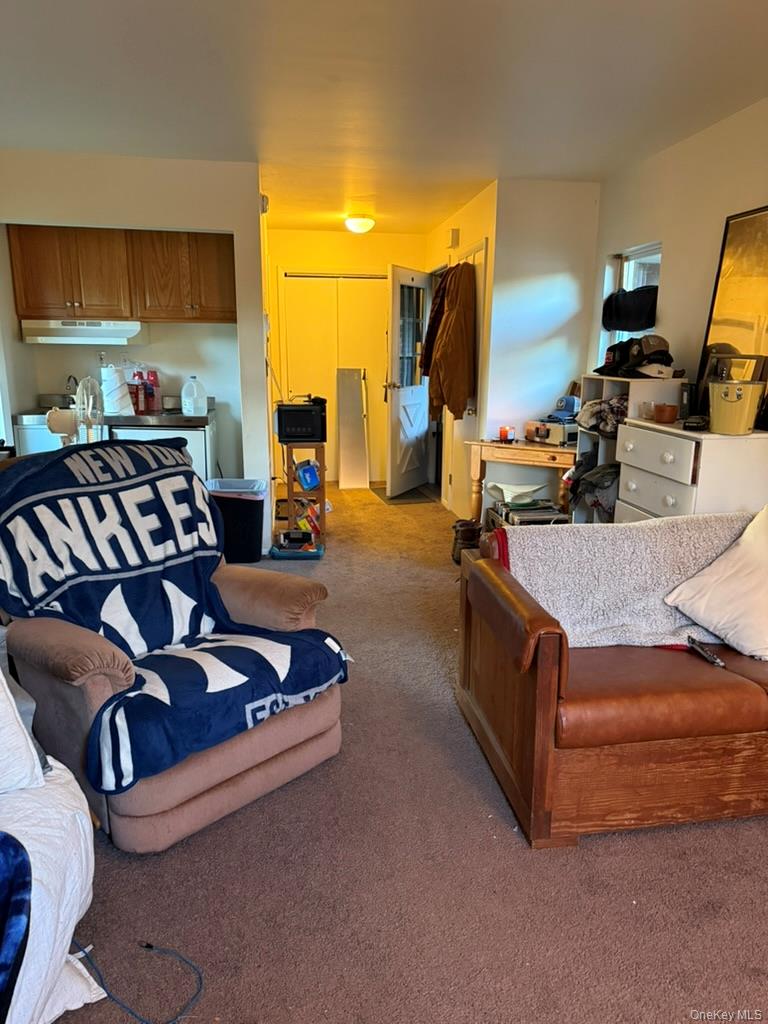 #7 photo, 881 Burlingham Road, Pine Bush , NY 12566