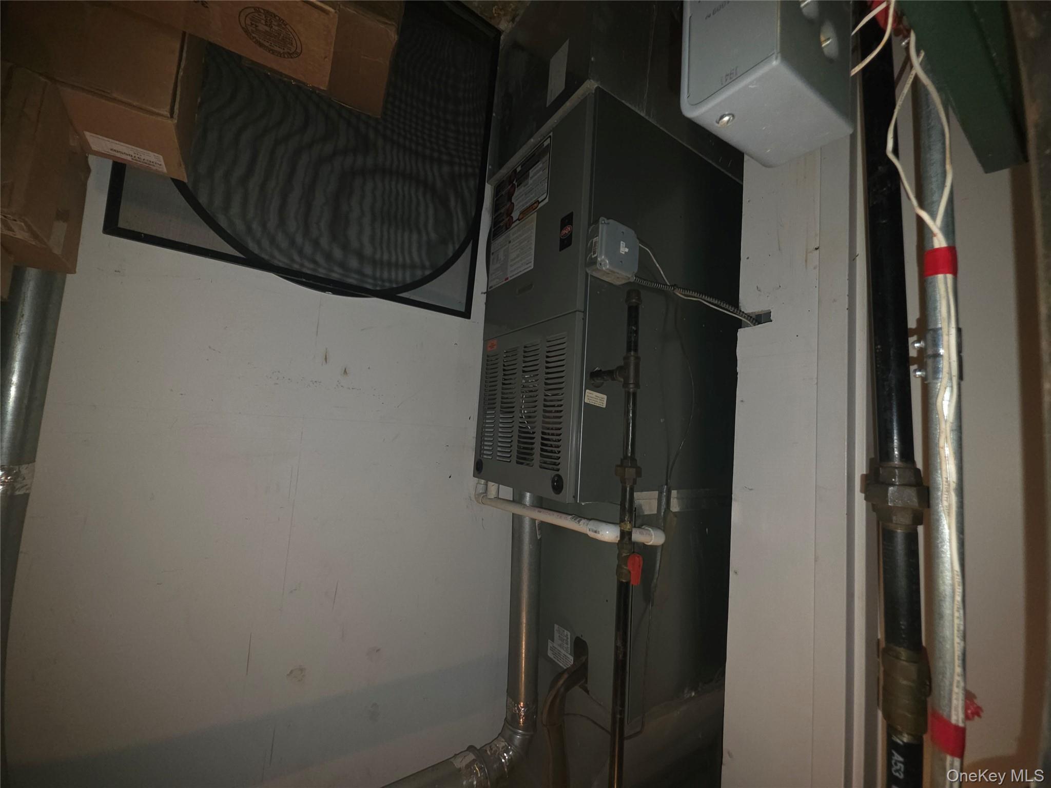 #19 photo, 1527 E 29th Street, Brooklyn , NY 11229