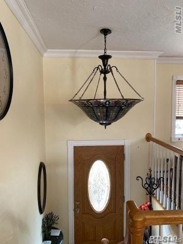 #2 photo, Copiague, Copiague , NY 11726