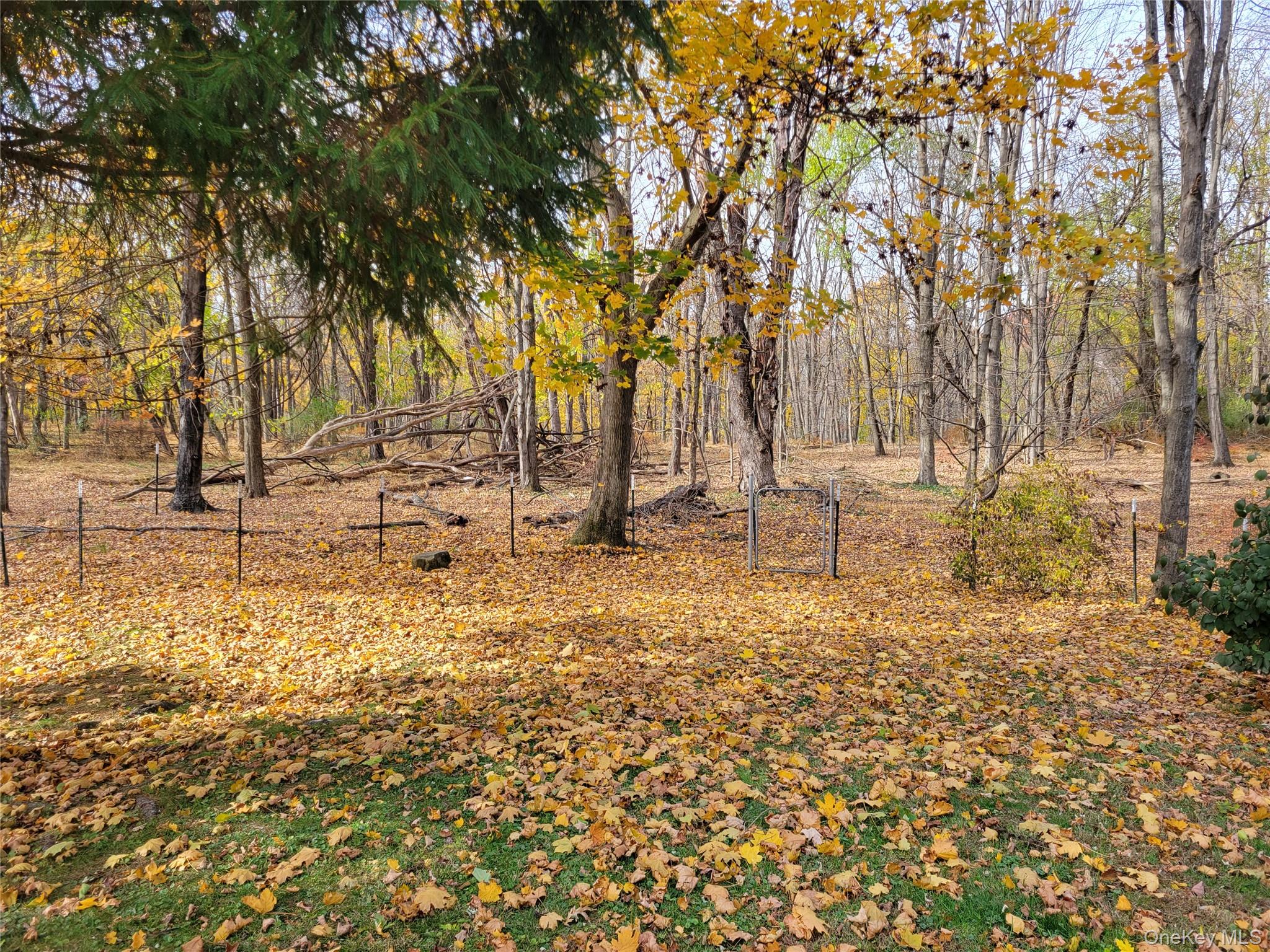 #7 photo, 114 UNION Street, Montgomery , NY 12549