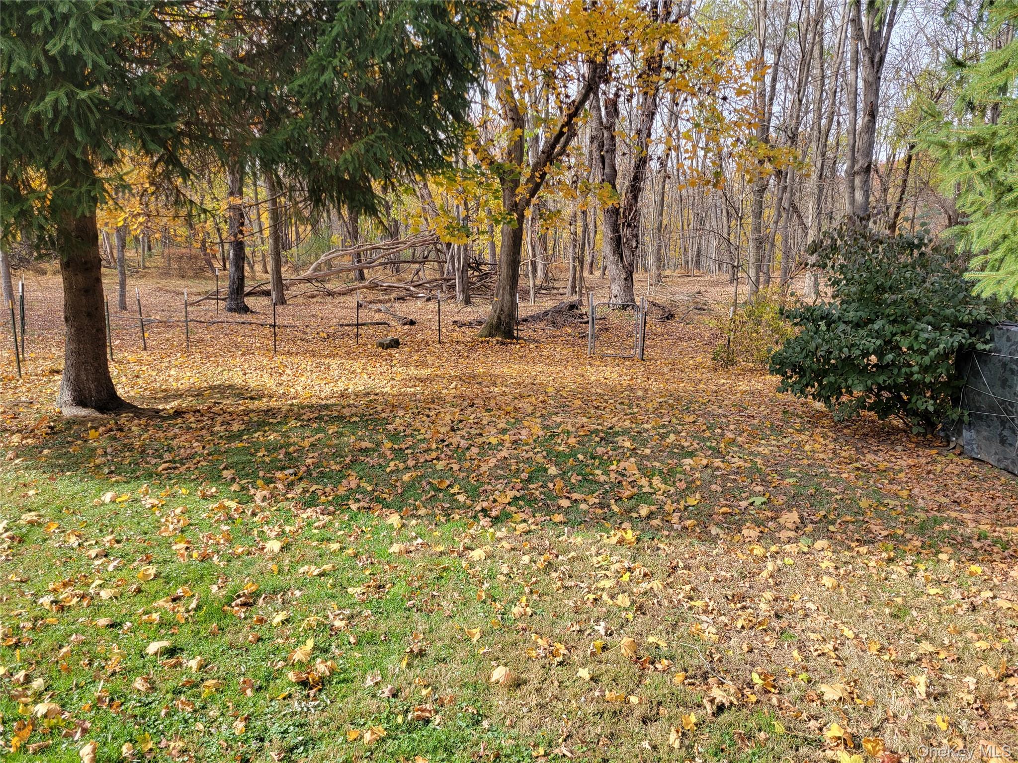 #8 photo, 114 UNION Street, Montgomery , NY 12549