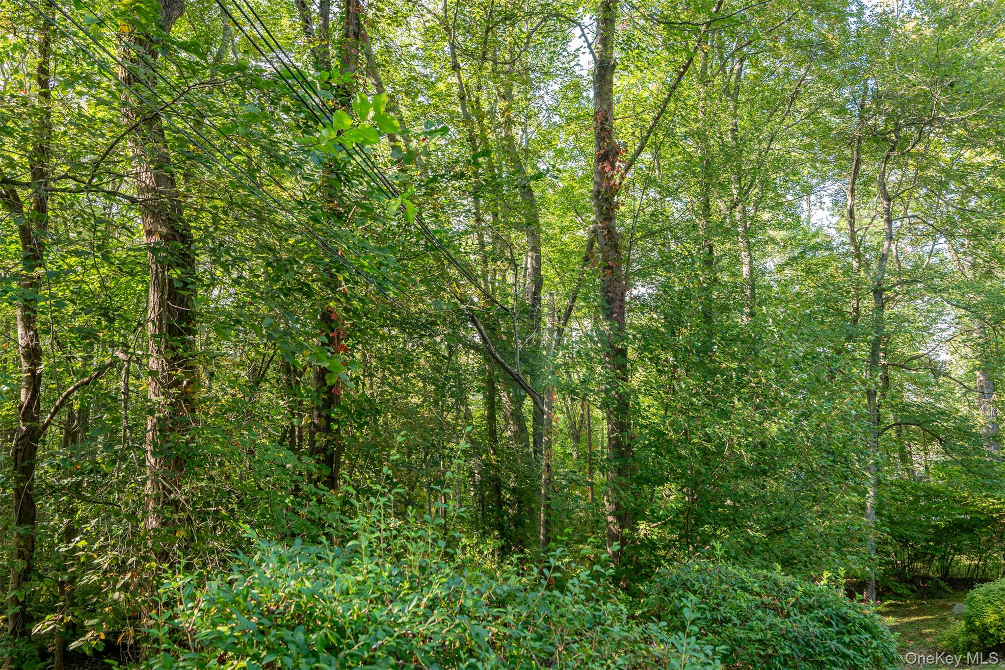 #20 photo, 5 Hadley Road, Armonk , NY 10504