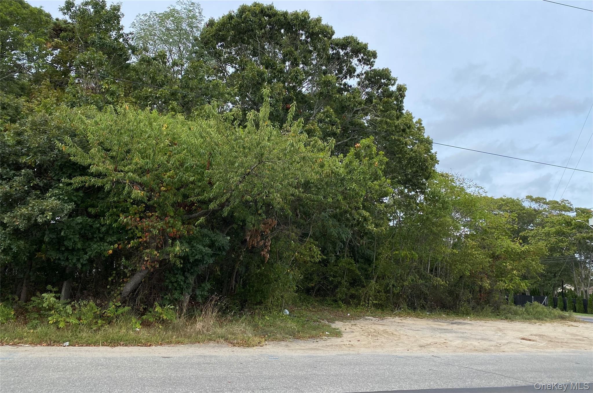 #1 photo, 9 Maple Place, Central Islip , NY 11722