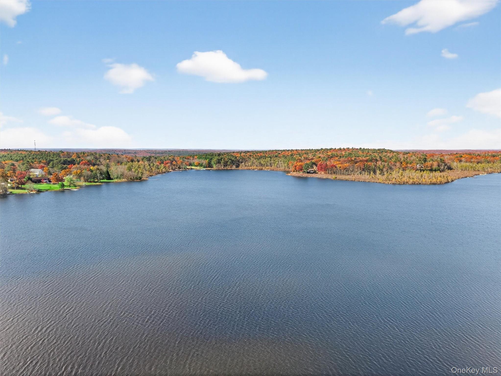 #4 photo, 316 Lakeview Drive Road, Highland Lake , NY 12743