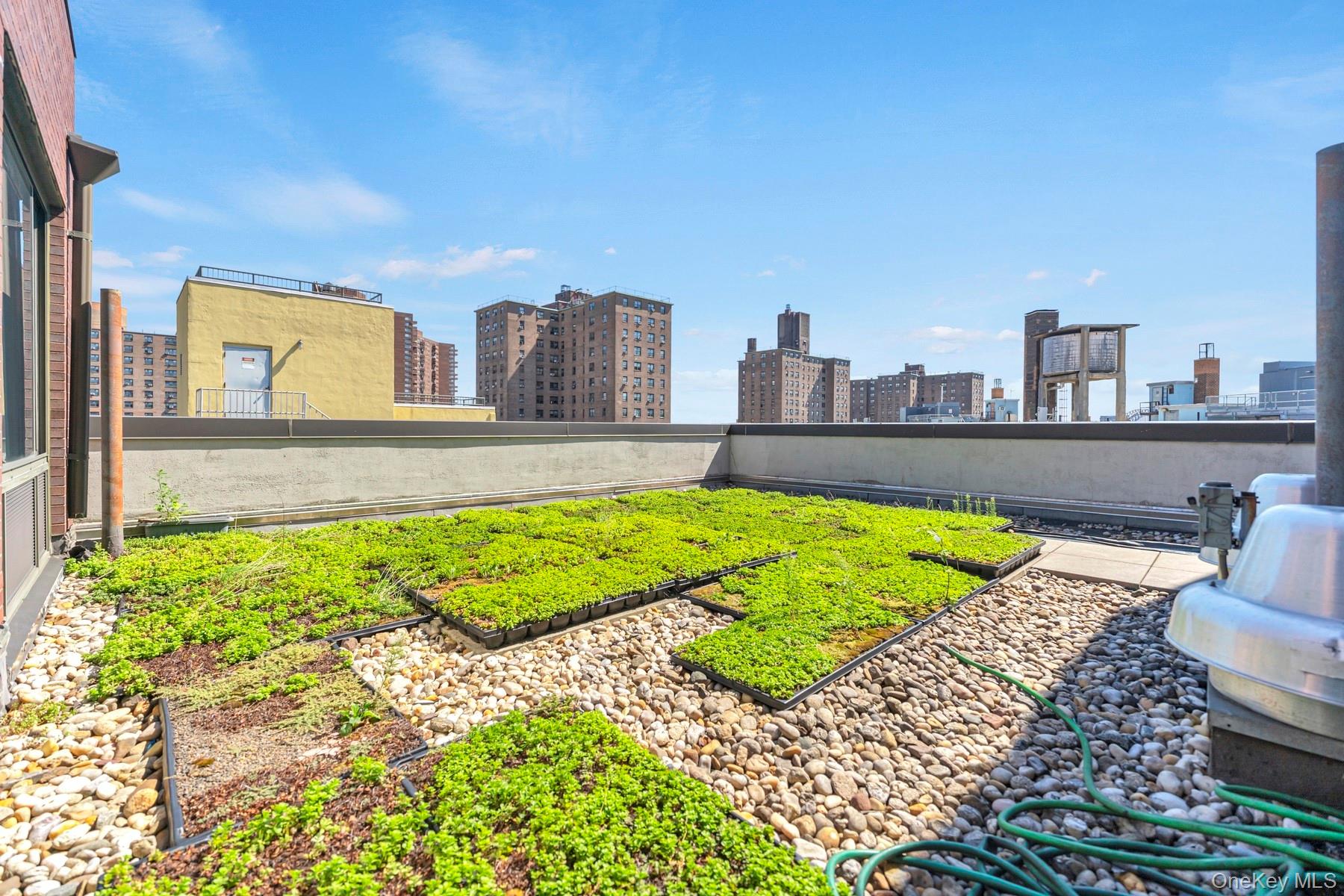 #10 photo, 353 E 104 Street, New York (Manhattan) , NY 10029