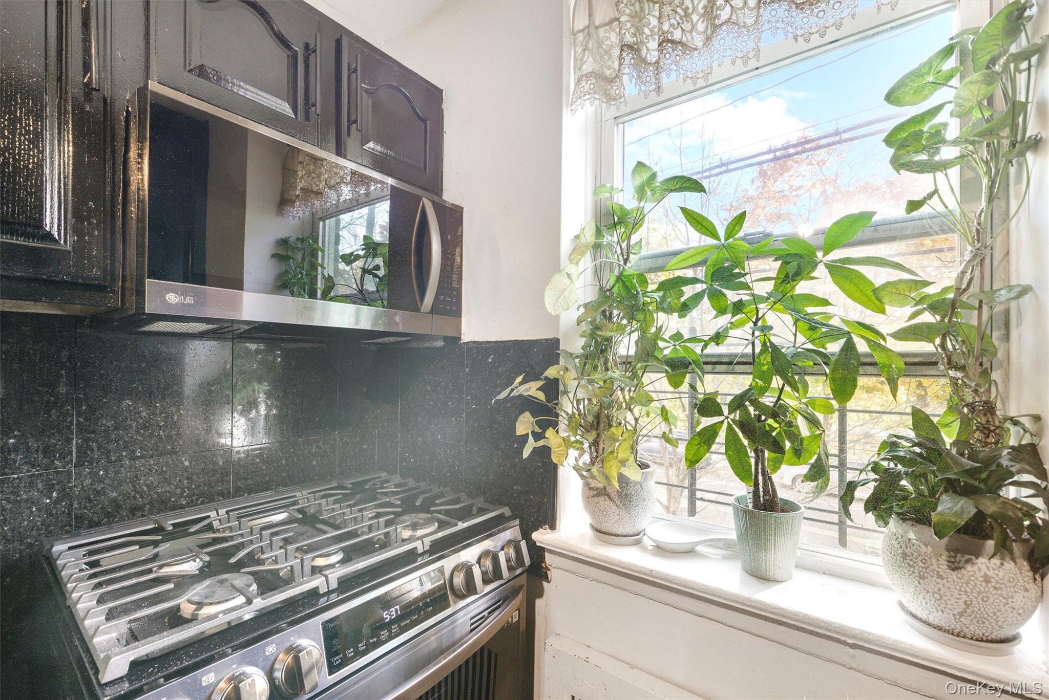 #14 photo, 4295 Webster Avenue, Bronx , NY 10470