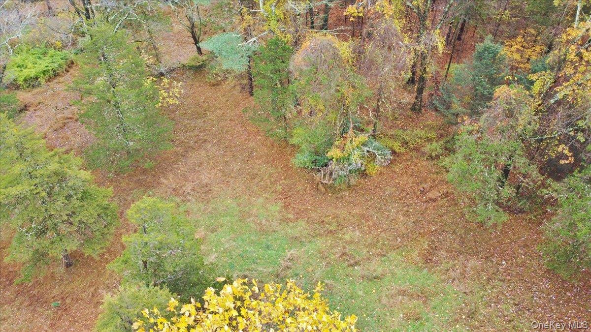 #10 photo, 155 Mill Dam Road, Stone Ridge , NY 