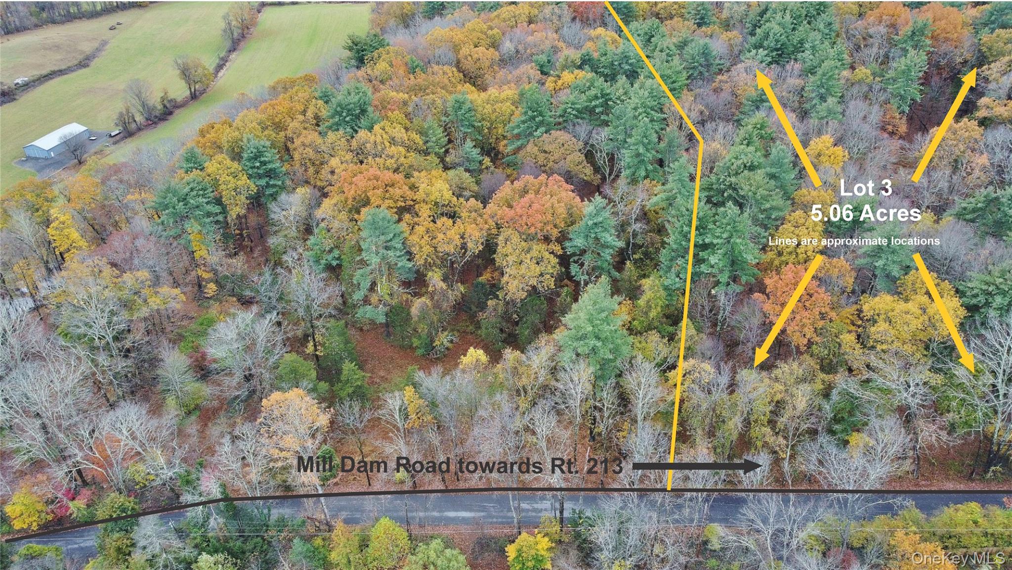 #11 photo, 155 Mill Dam Road, Stone Ridge , NY 