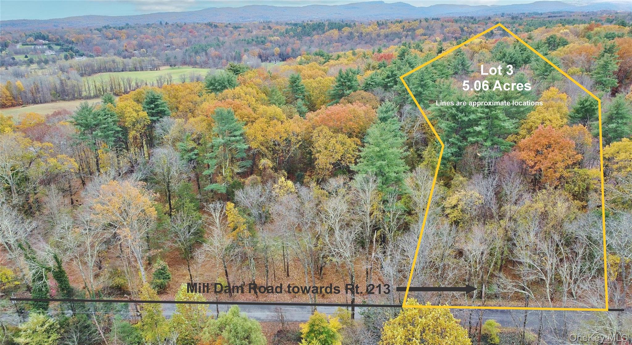 #13 photo, 155 Mill Dam Road, Stone Ridge , NY 