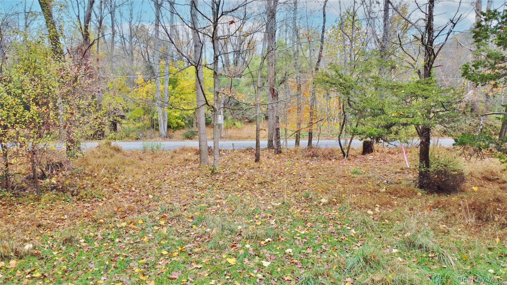 #3 photo, 155 Mill Dam Road, Stone Ridge , NY 