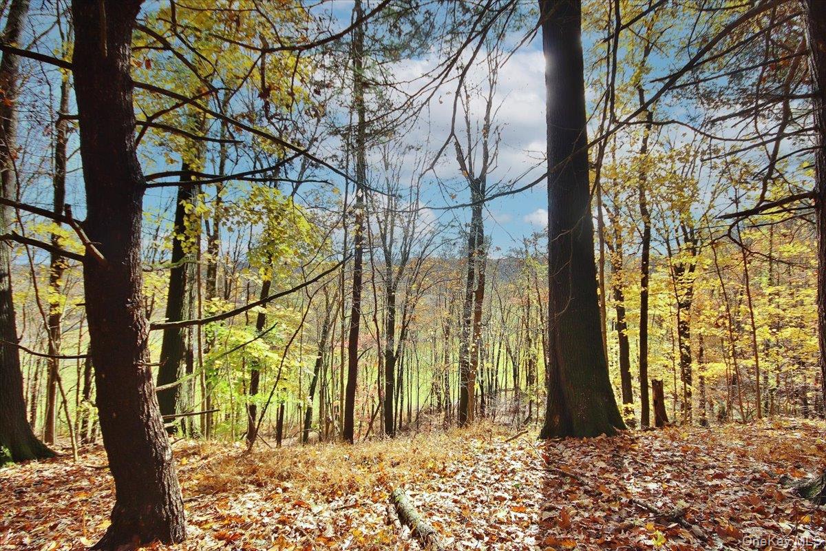 #4 photo, 155 Mill Dam Road, Stone Ridge , NY 