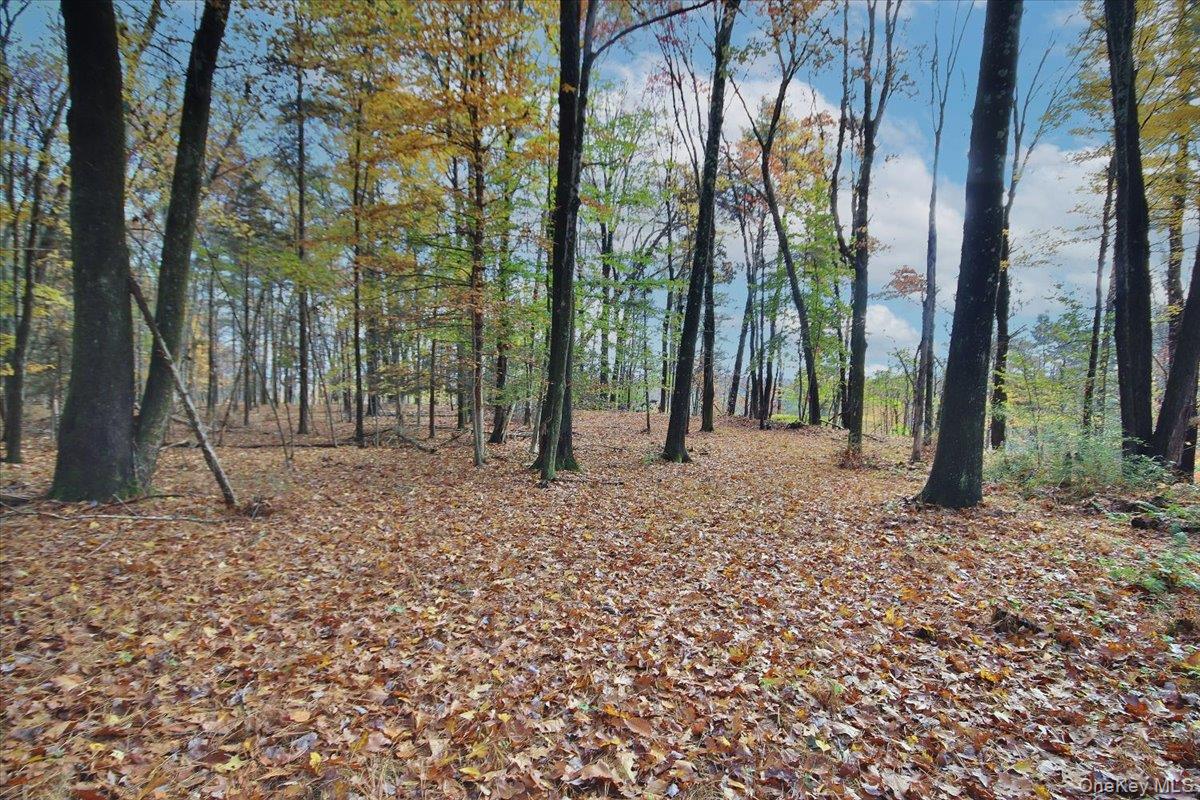 #6 photo, 155 Mill Dam Road, Stone Ridge , NY 