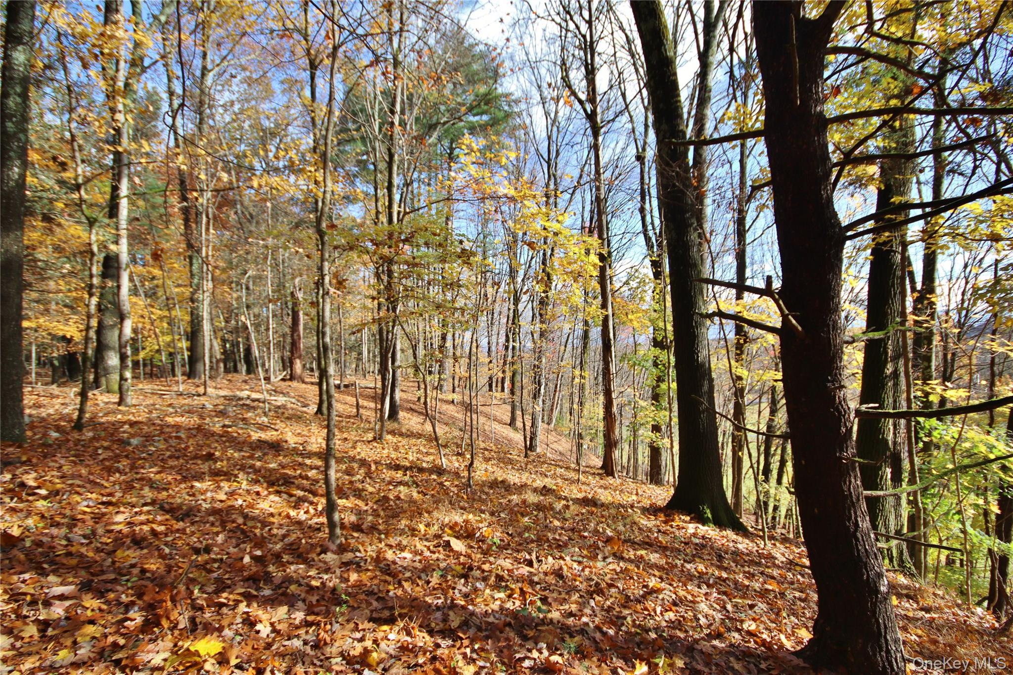 #7 photo, 155 Mill Dam Road, Stone Ridge , NY 