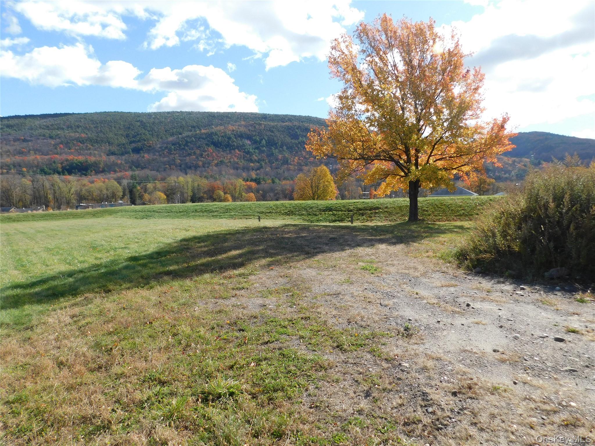 #15 photo, 15 Dewitt St, Ellenville , NY 12428