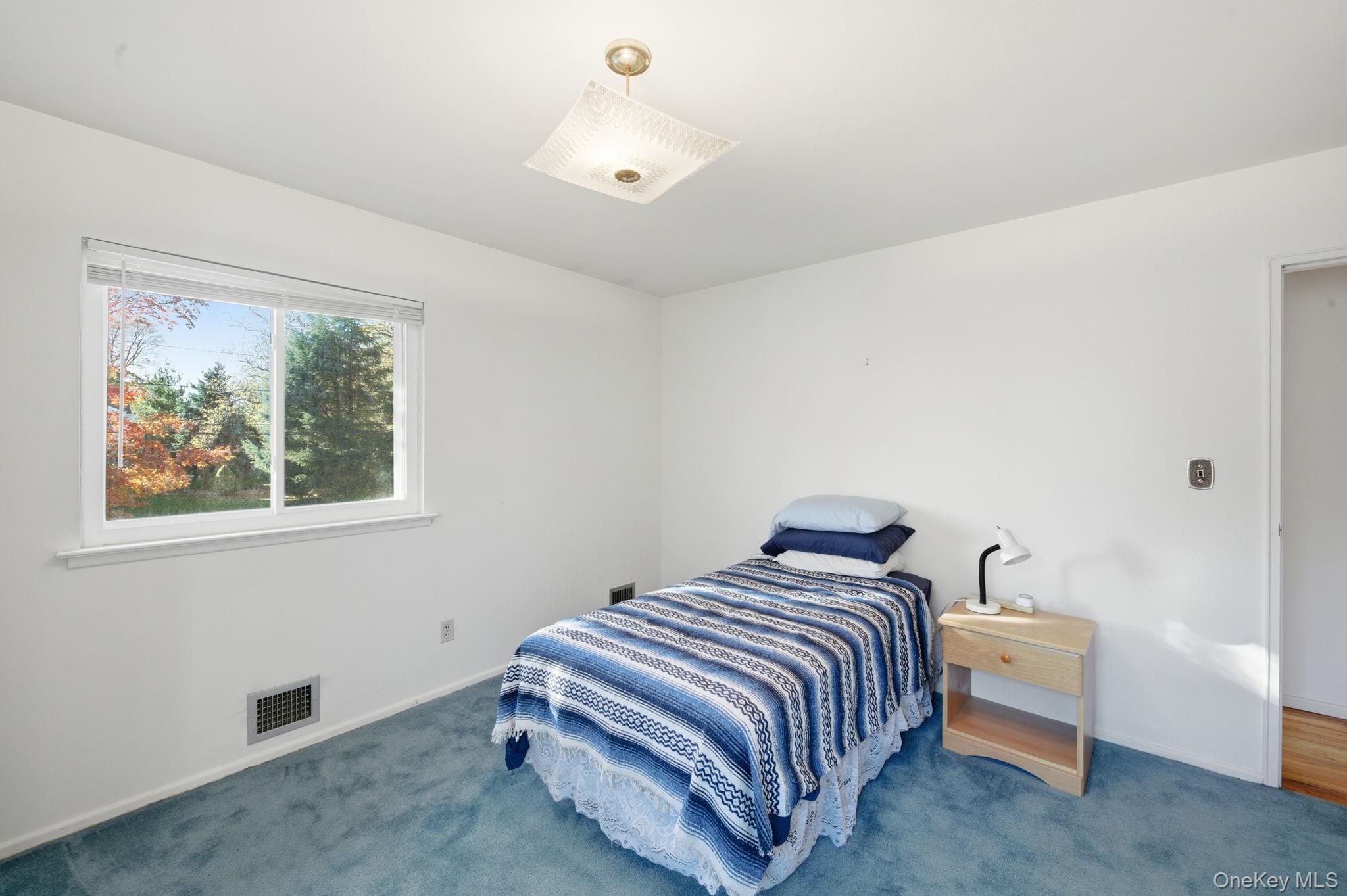 #10 photo, 18 Dunhill Road, Manhasset Hills , NY 11040