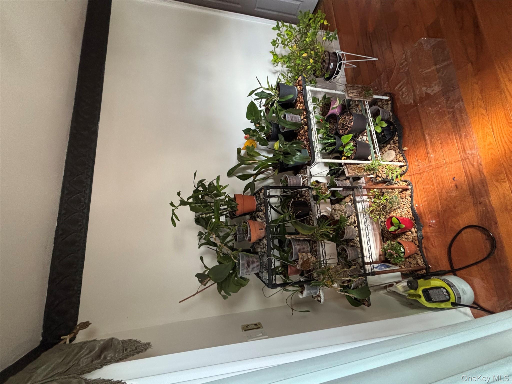 #15 photo, 188-31 Jordan Avenue, Saint Albans , NY 11412