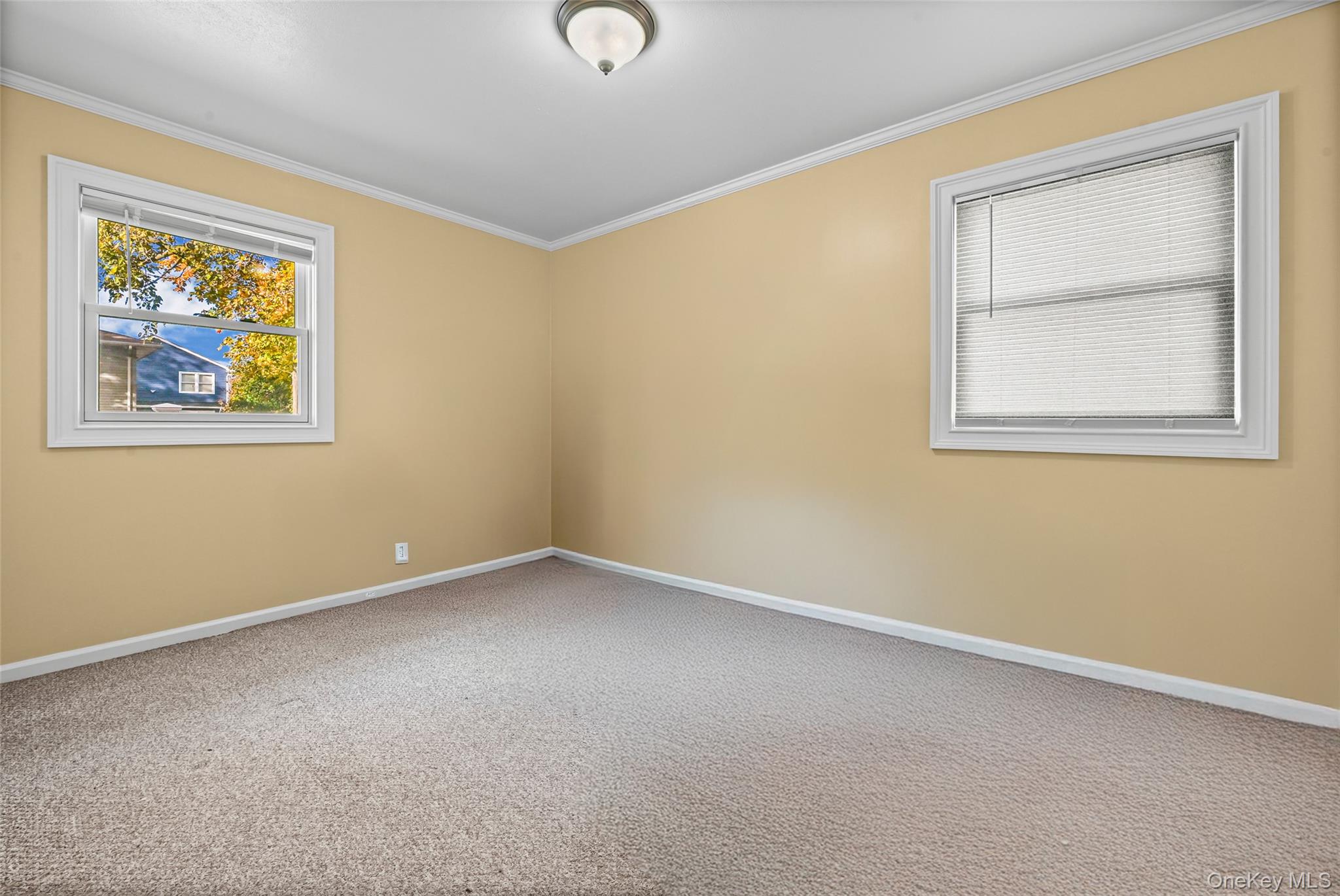 #9 photo, 350 Sheridan Street, Westbury , NY 11590