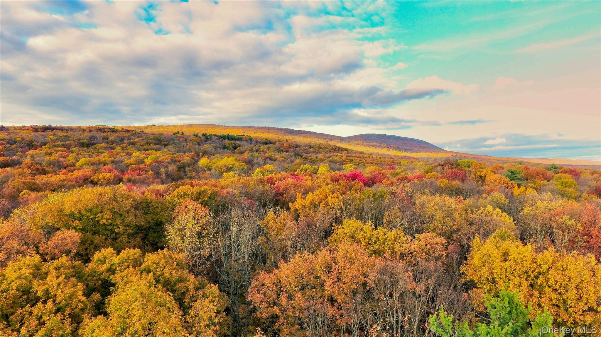 #5 photo, 118 Marl Road, Pine Bush , NY 12566