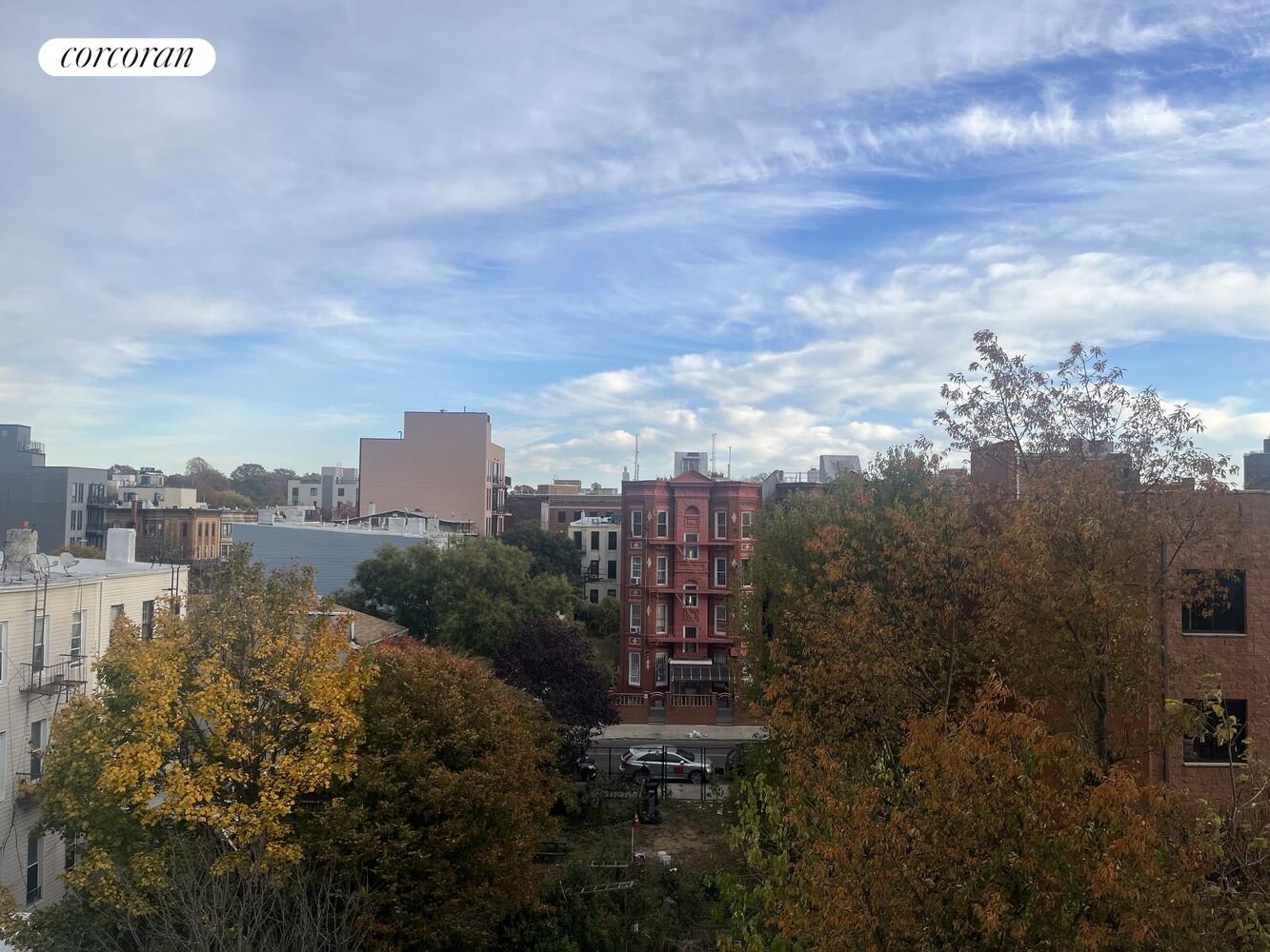 #6 photo, 1008 DECATUR Street, Bushwick , NY 11207