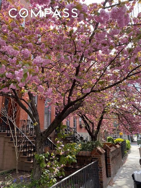 #11 photo, Brooklyn, Boerum Hill , NY 11217