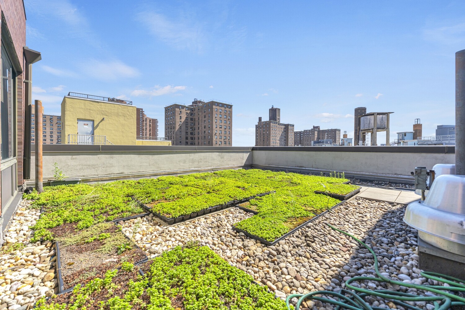 #11 photo, 353 E 104TH Street, East Harlem , NY 10029