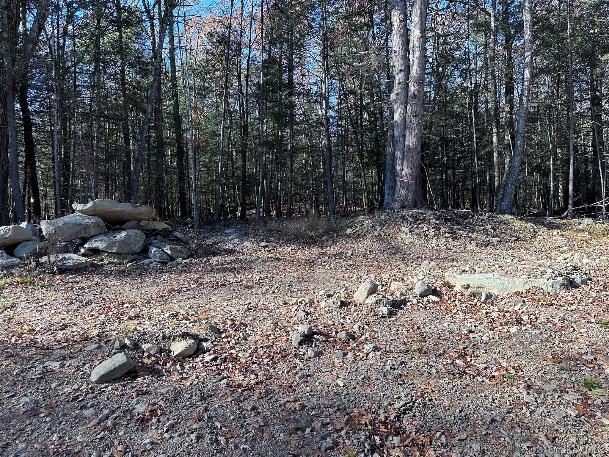 #1 photo, 1470 County Road 2, Olivebridge , NY 12461