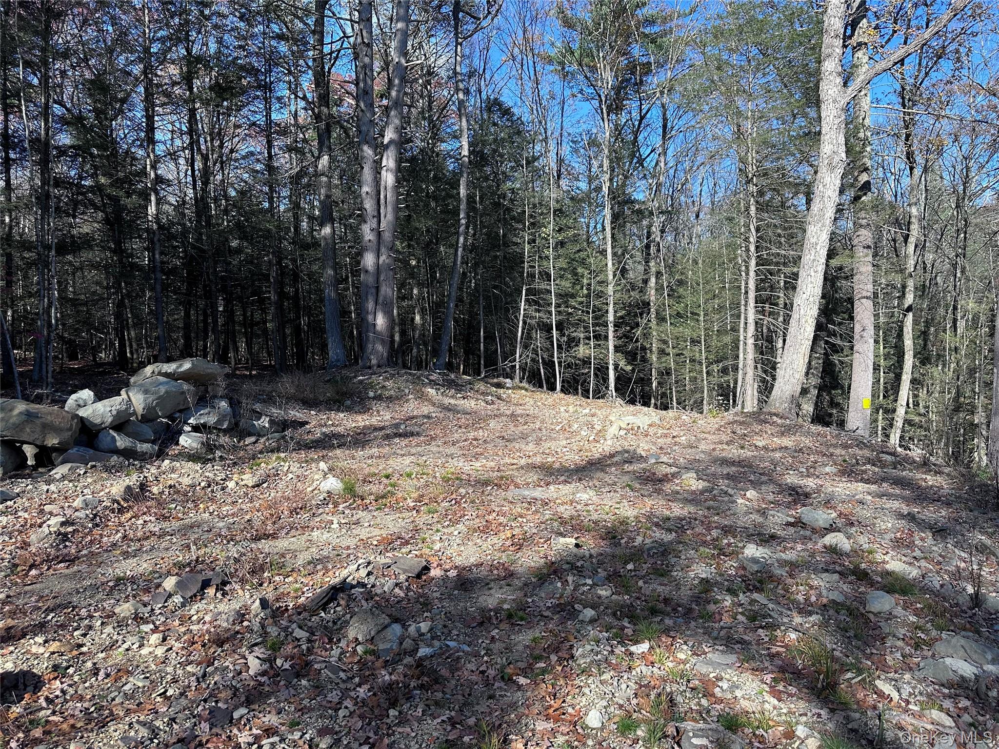 #4 photo, 1470 County Road 2, Olivebridge , NY 12461