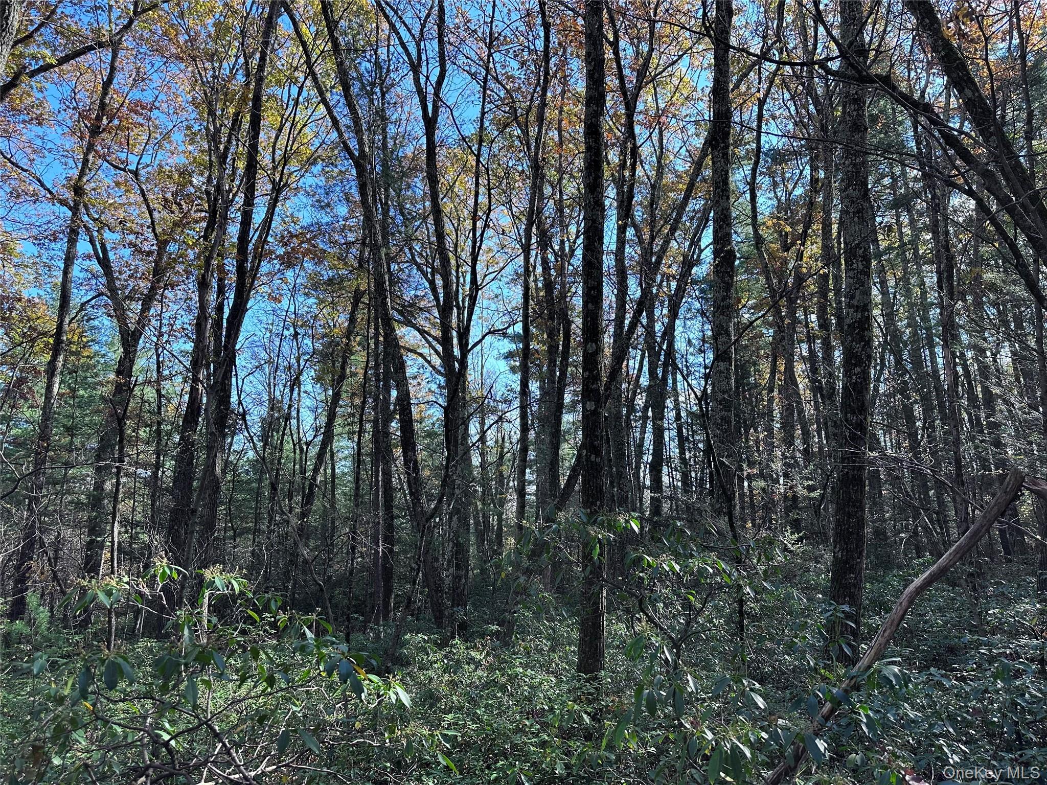 #7 photo, Lot 2 Upper Cherrytown Road, Kerhonkson , NY 12446