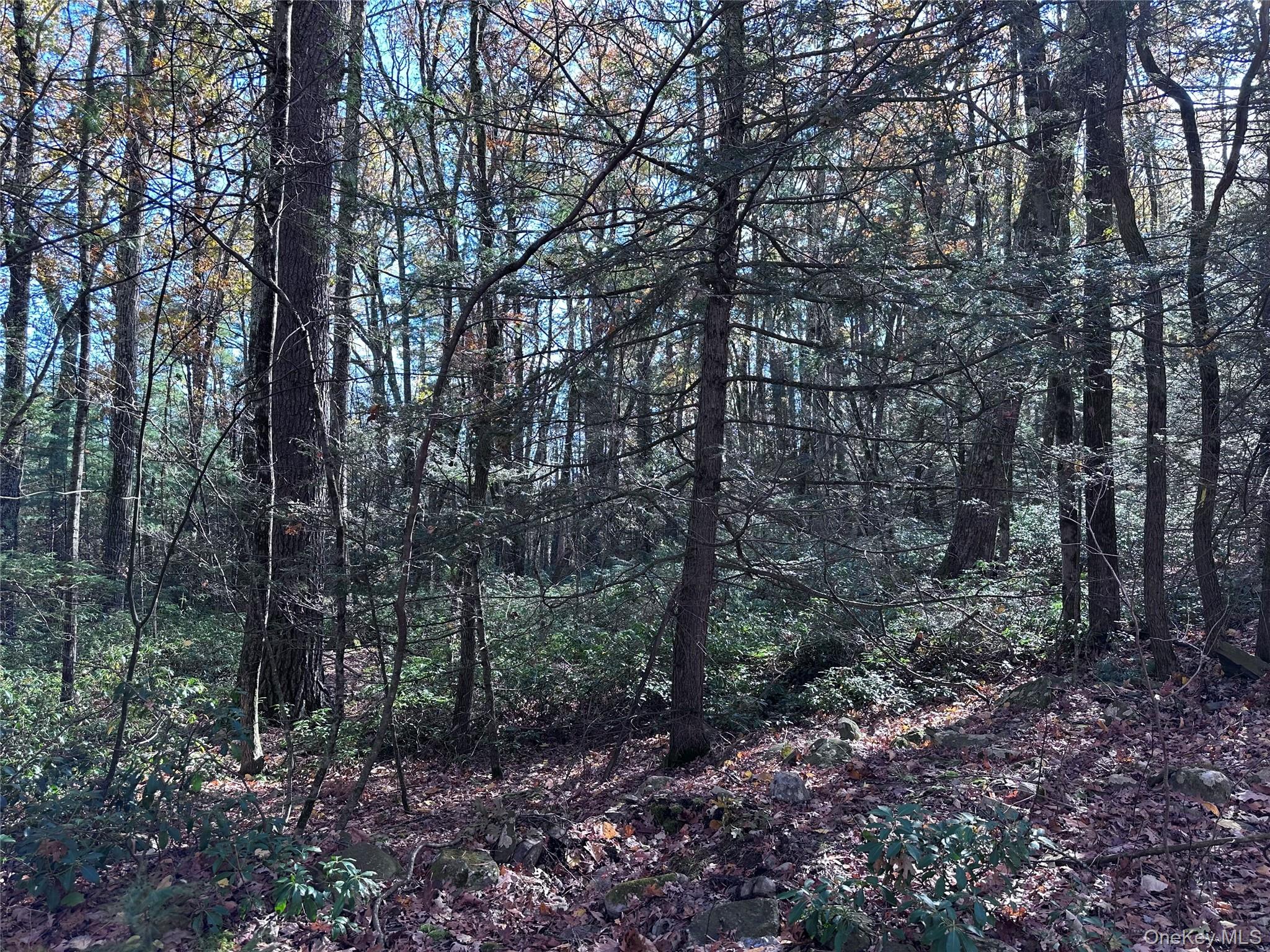 #8 photo, Lot 2 Upper Cherrytown Road, Kerhonkson , NY 12446