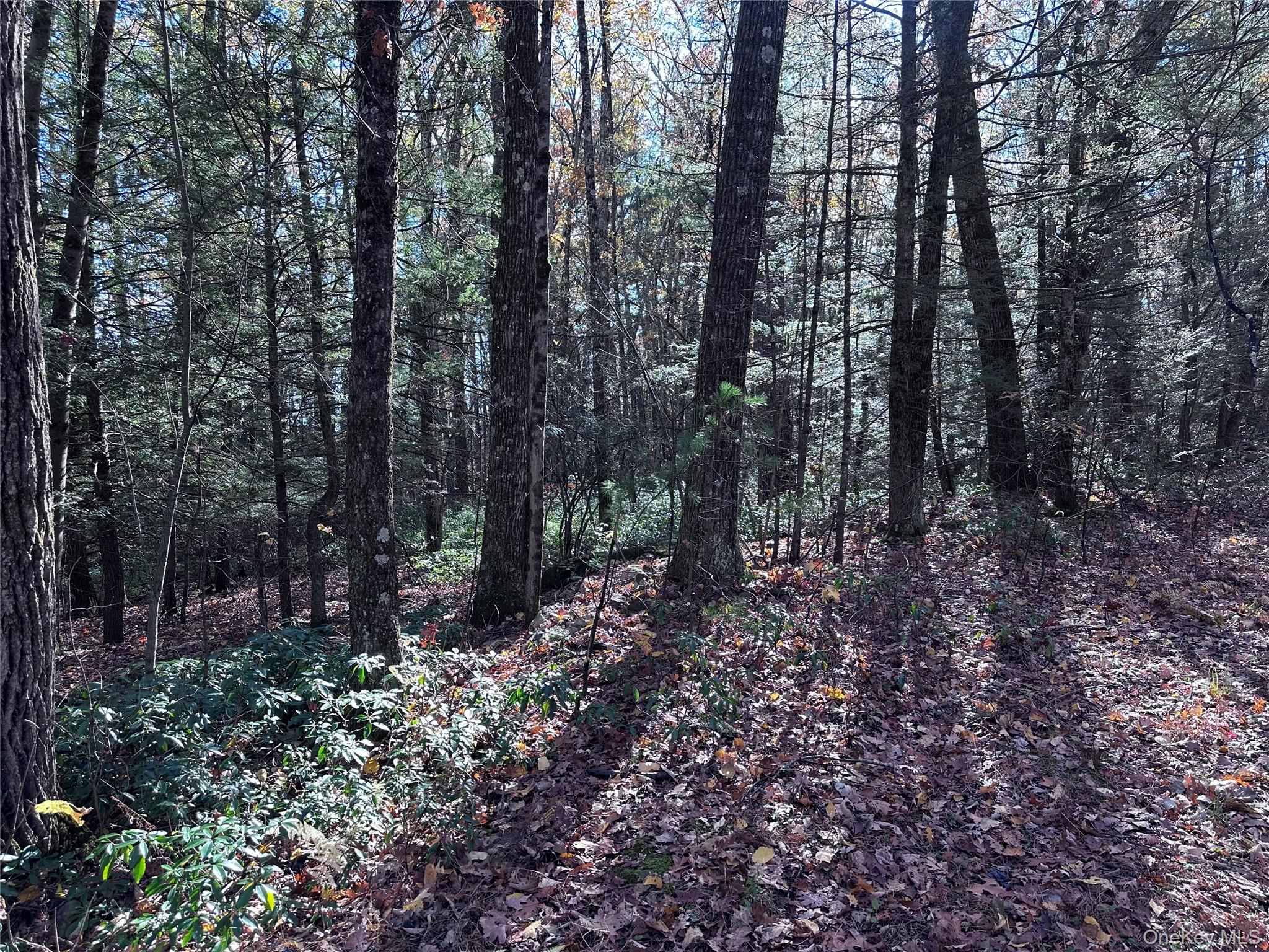 #9 photo, Lot 2 Upper Cherrytown Road, Kerhonkson , NY 12446