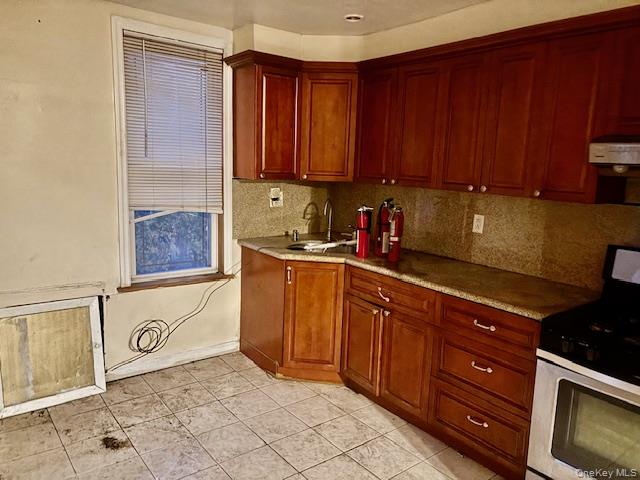 #17 photo, 259 80th Street, Brooklyn , NY 11209