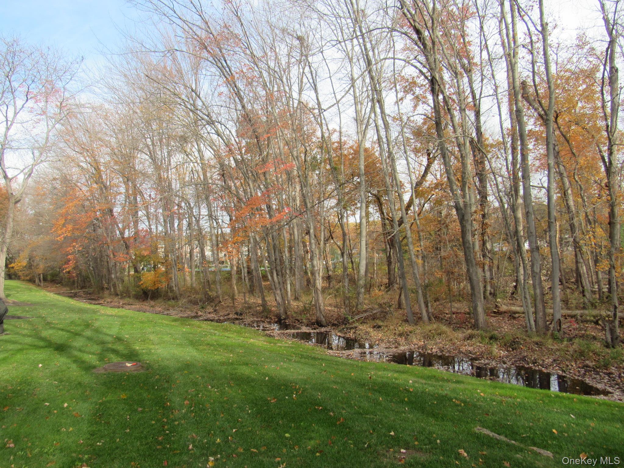 #9 photo, 126 N Route 303, Congers , NY 10920