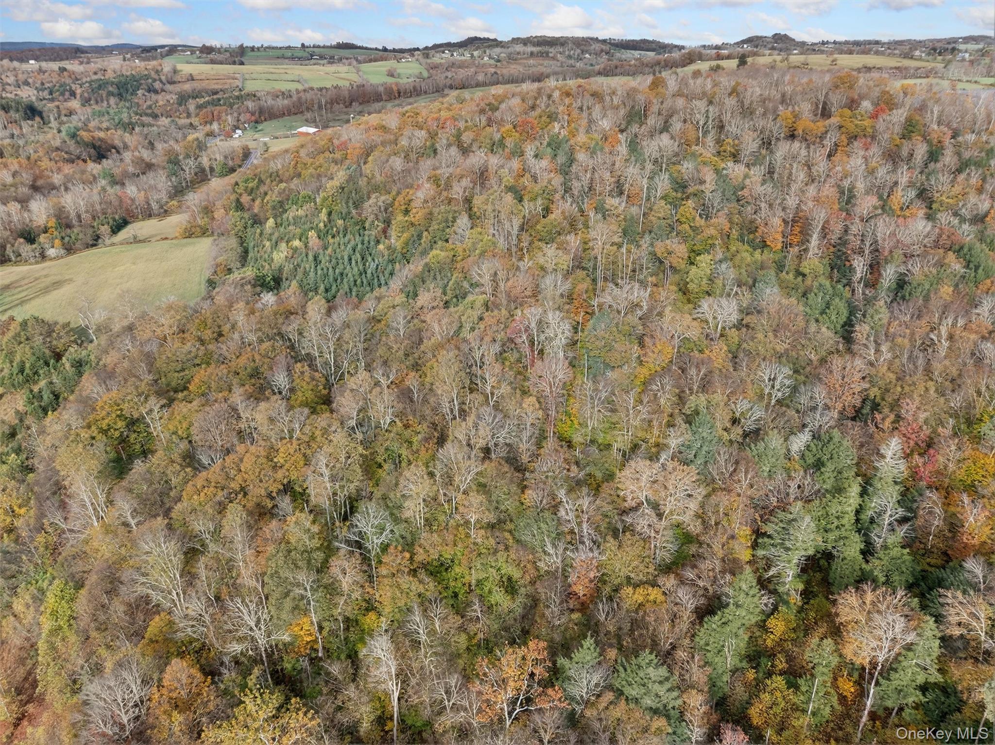 #12 photo, 22 State Route 52A, Kenoza Lake , NY 12750