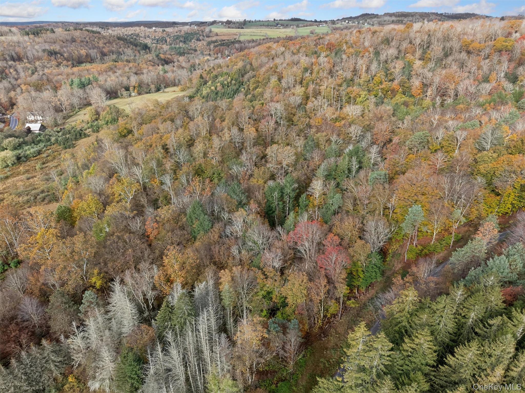 #13 photo, 22 State Route 52A, Kenoza Lake , NY 12750