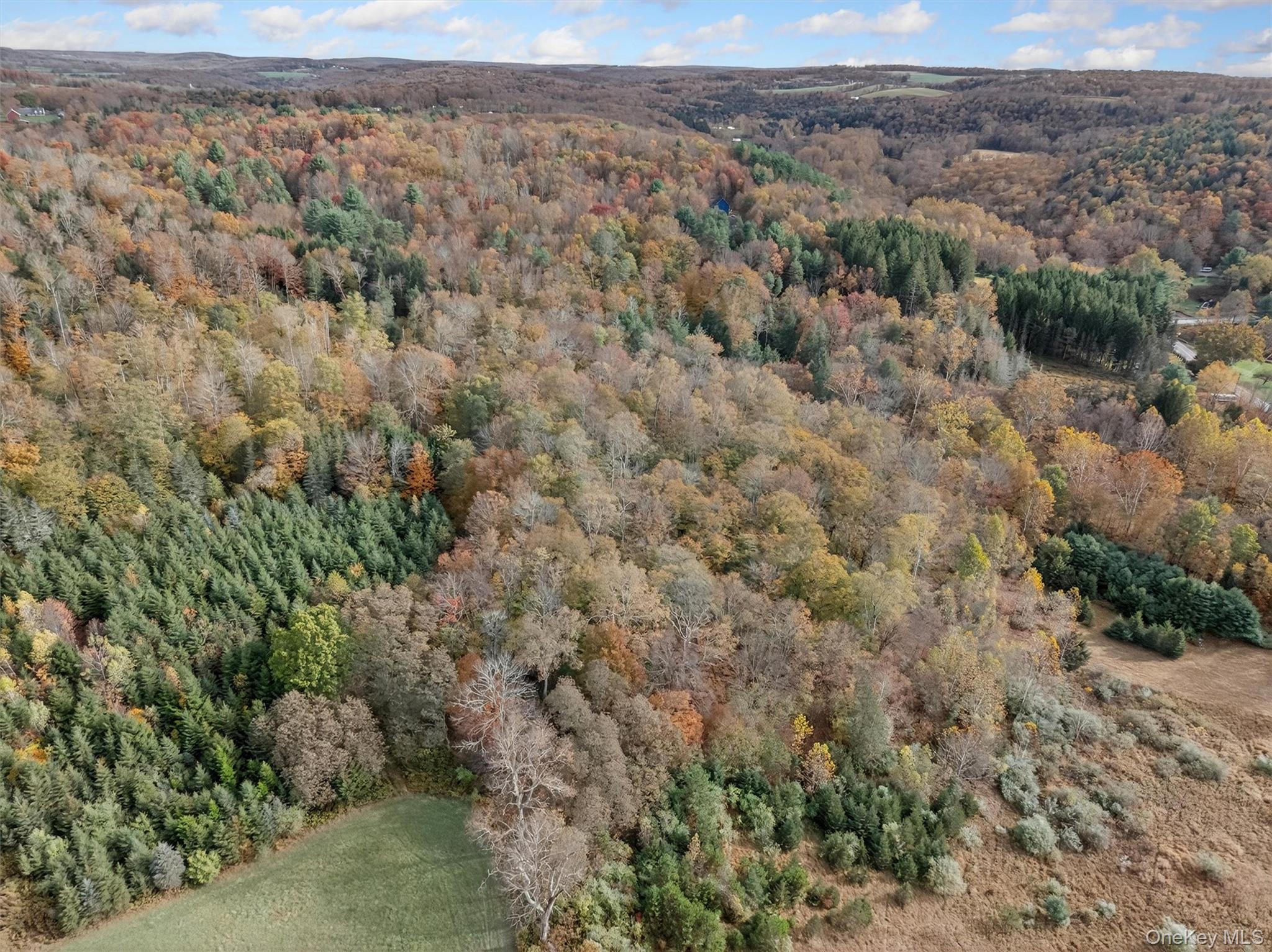 #7 photo, 22 State Route 52A, Kenoza Lake , NY 12750