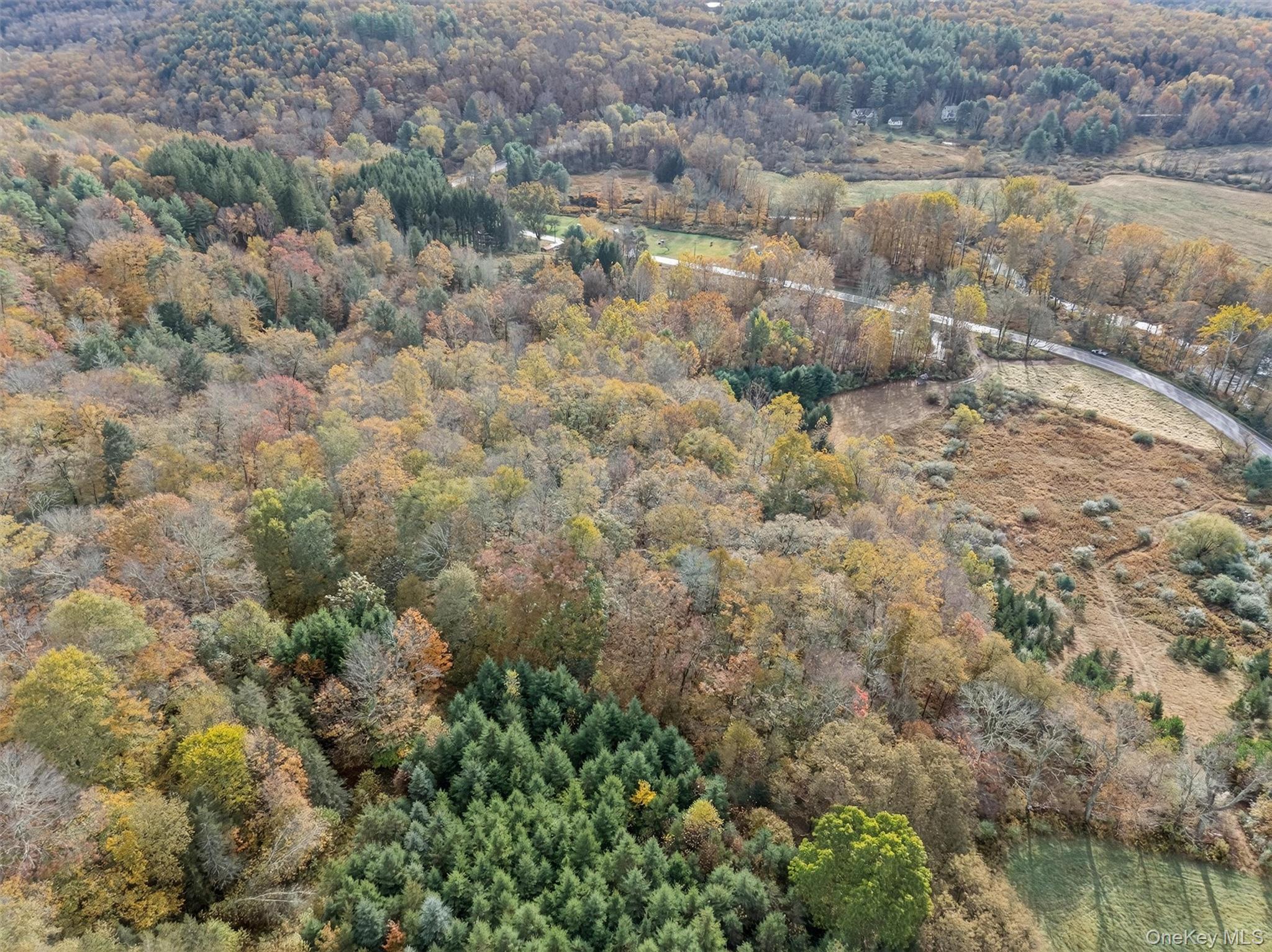 #8 photo, 22 State Route 52A, Kenoza Lake , NY 12750