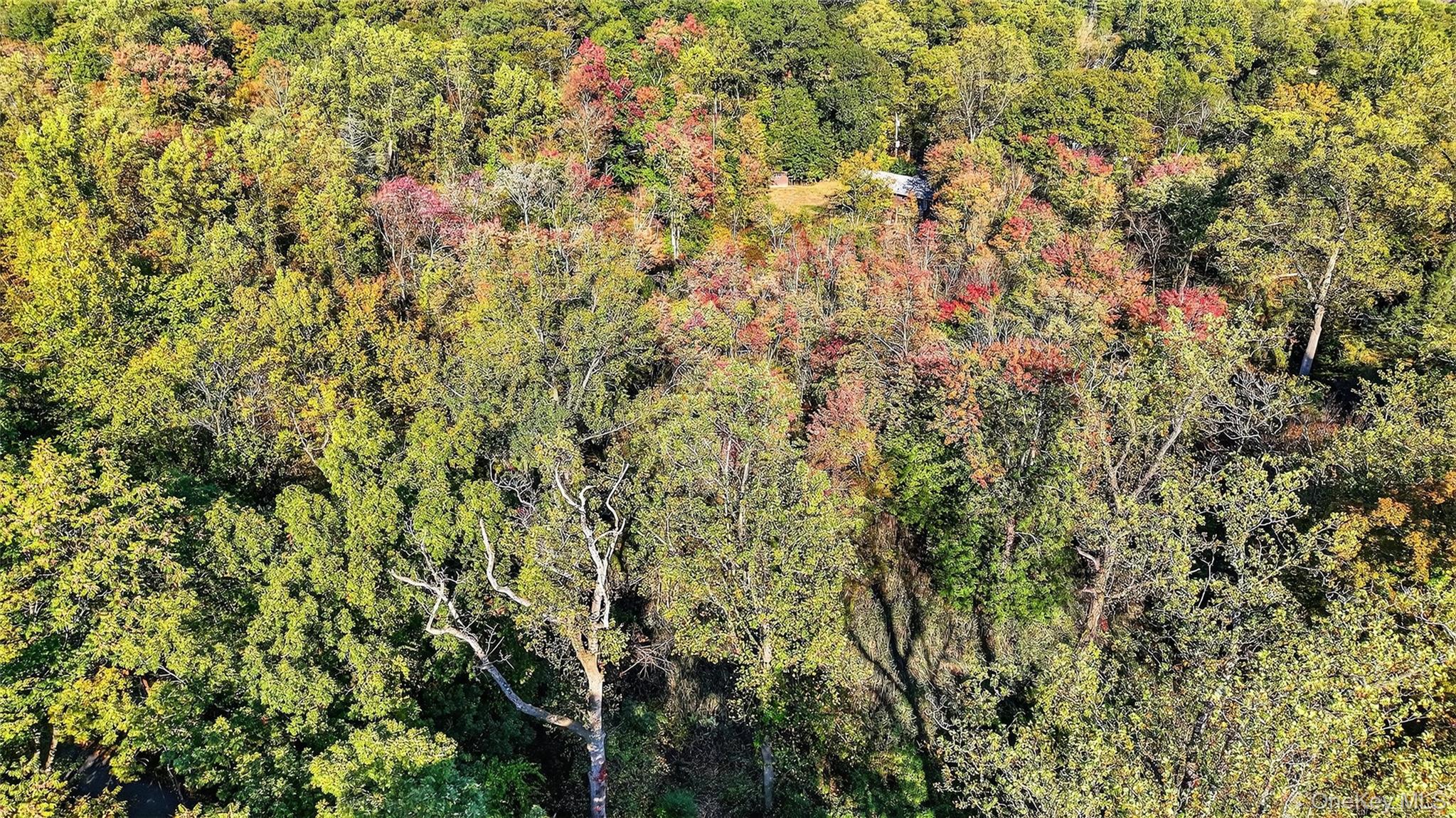 #13 photo, 50 Winston Lane, Garrison , NY 10524