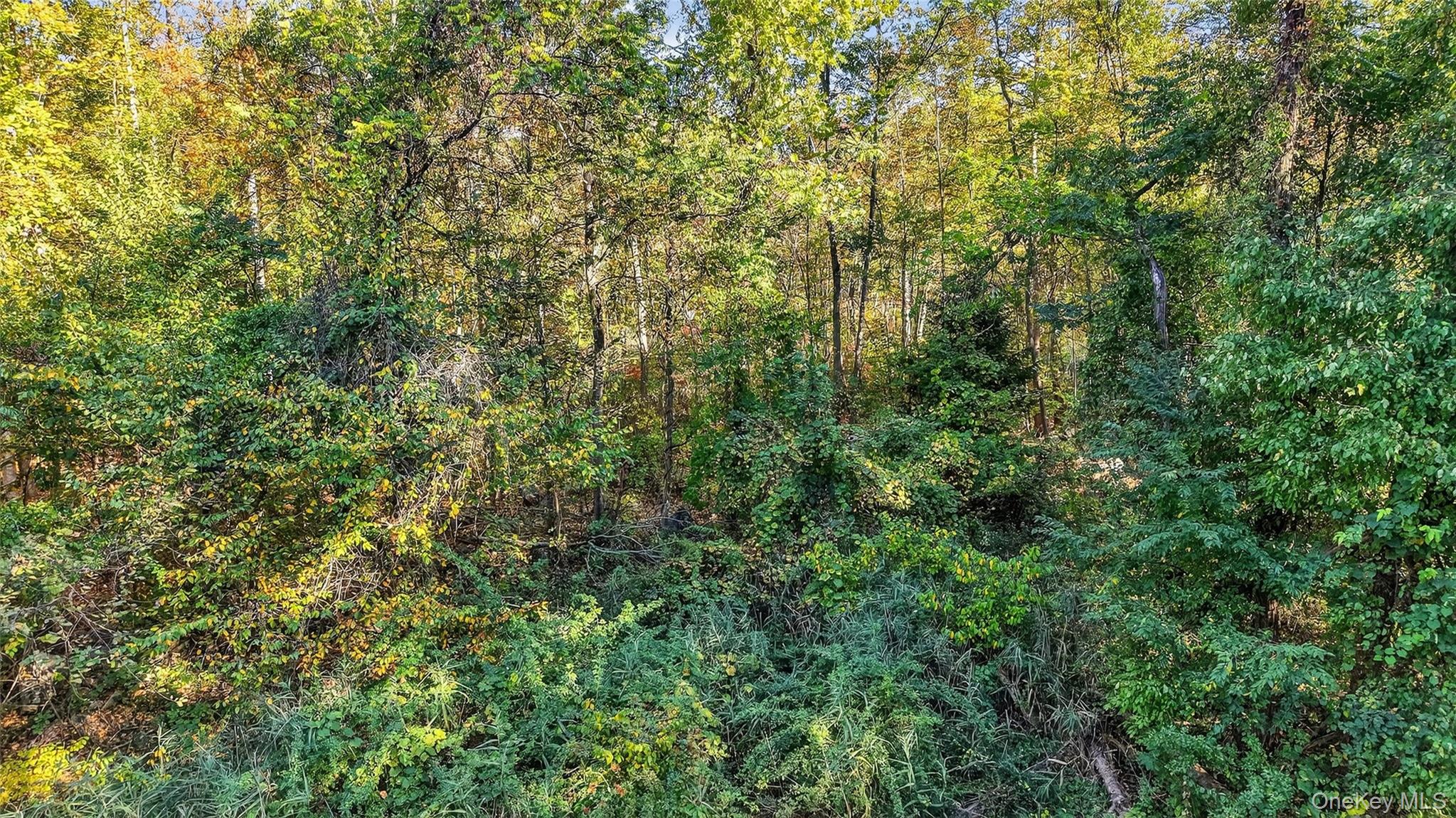 #15 photo, 50 Winston Lane, Garrison , NY 10524